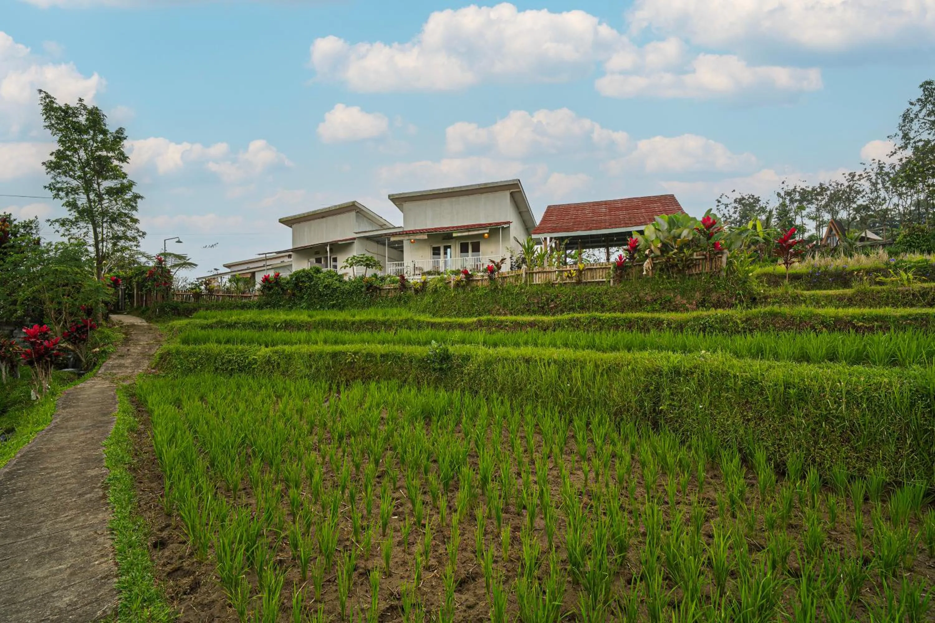 Property building in Jatiluwih Santya Loka Lodge & Twin Waterfall Managed by Manara