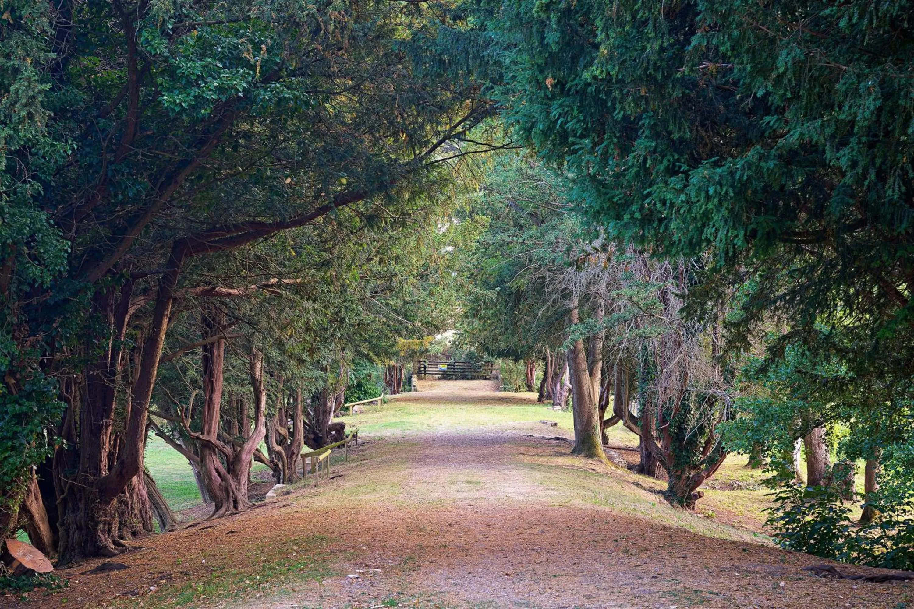 Garden in Ettington Park Hotel, Stratford-upon-Avon