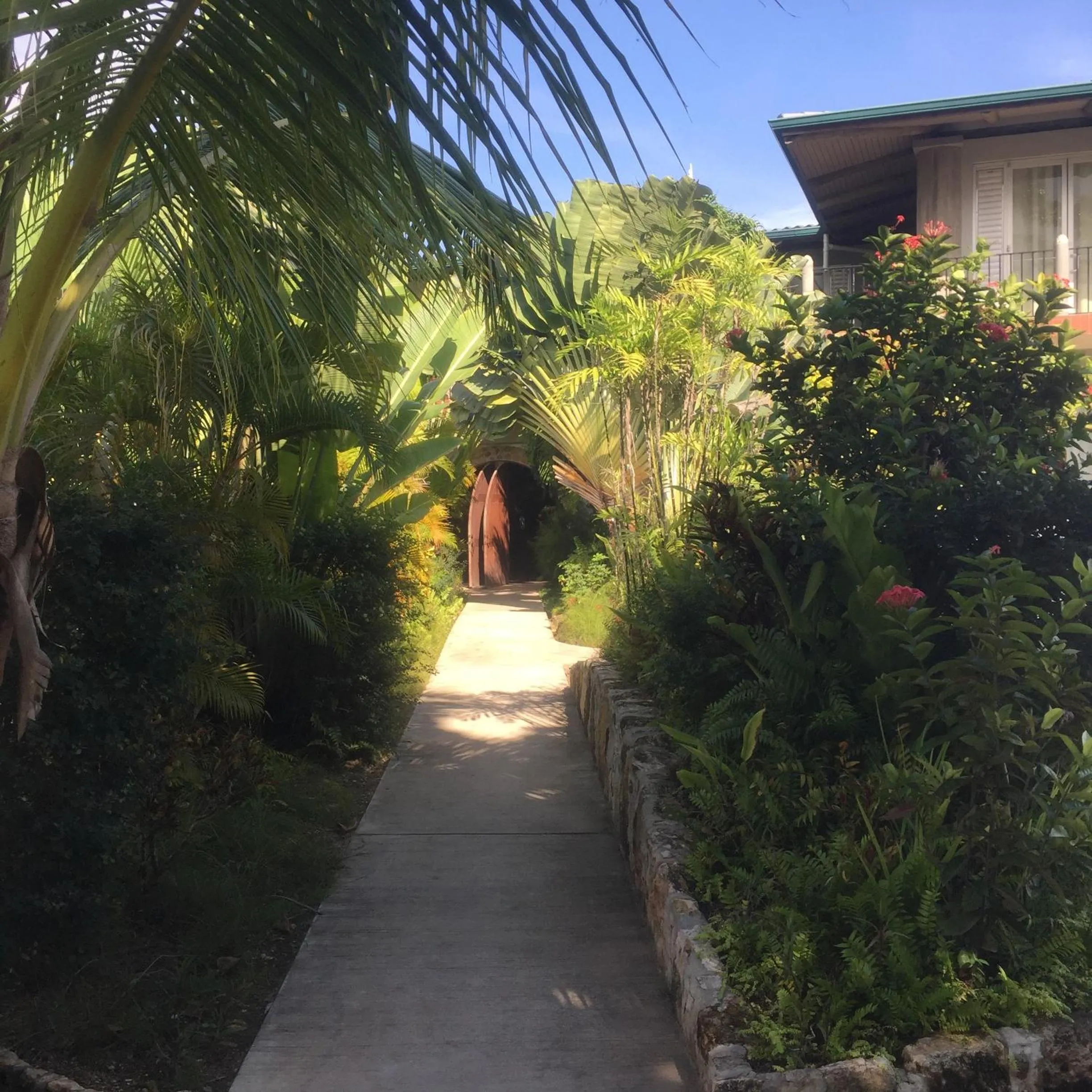 Garden in Almond Tree Hotel Resort