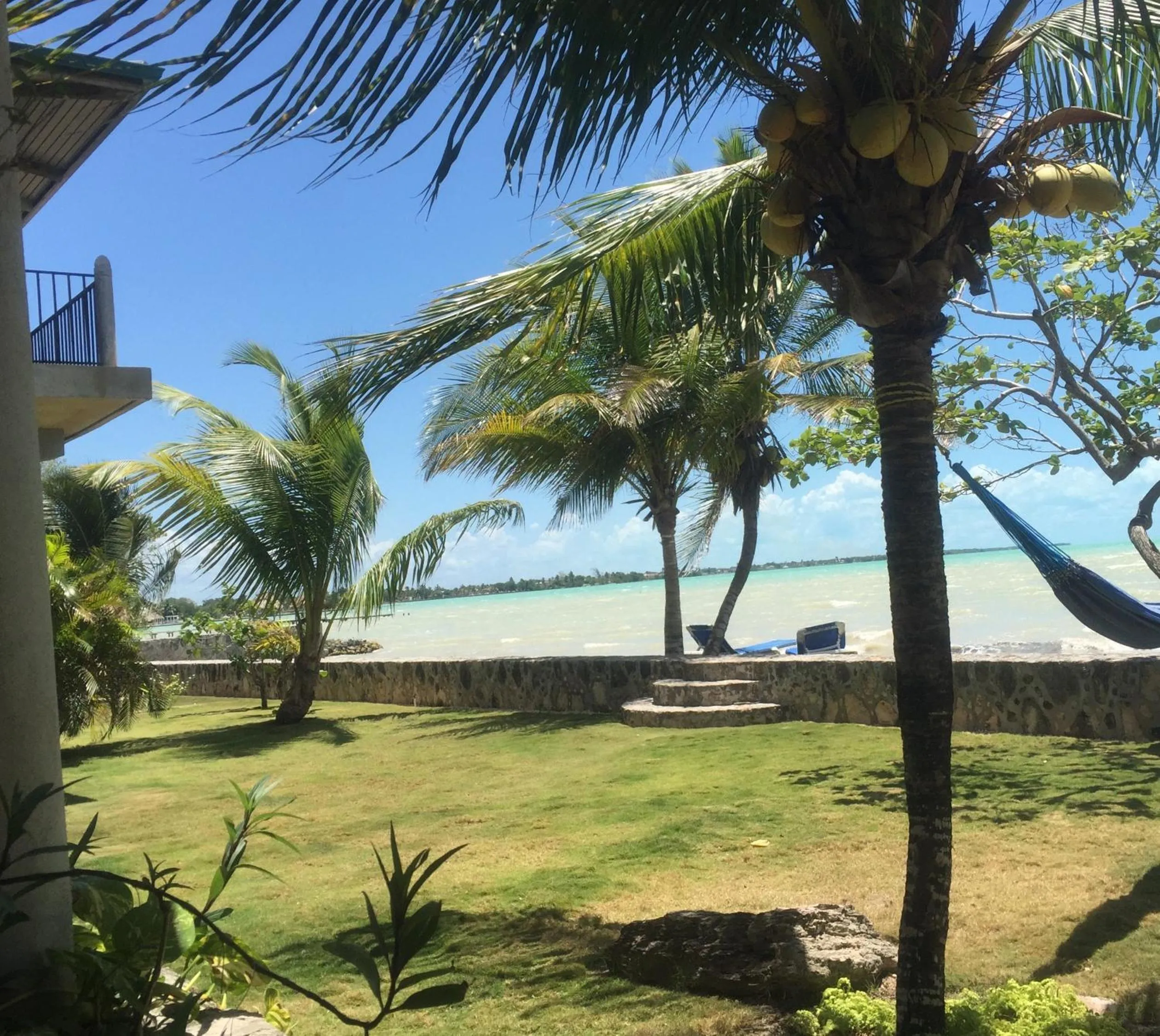 Sea view in Almond Tree Hotel Resort