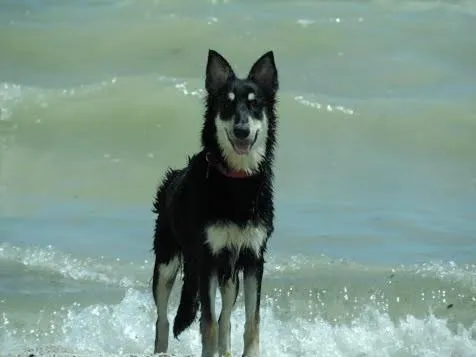 Almond Tree Hotel Resort