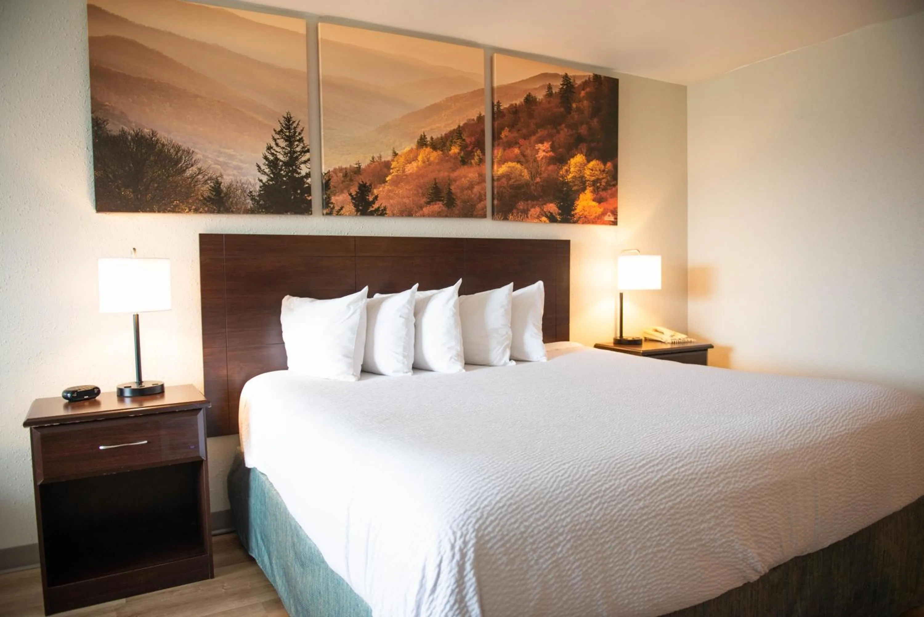 Bed in Days Inn by Wyndham Waynesboro