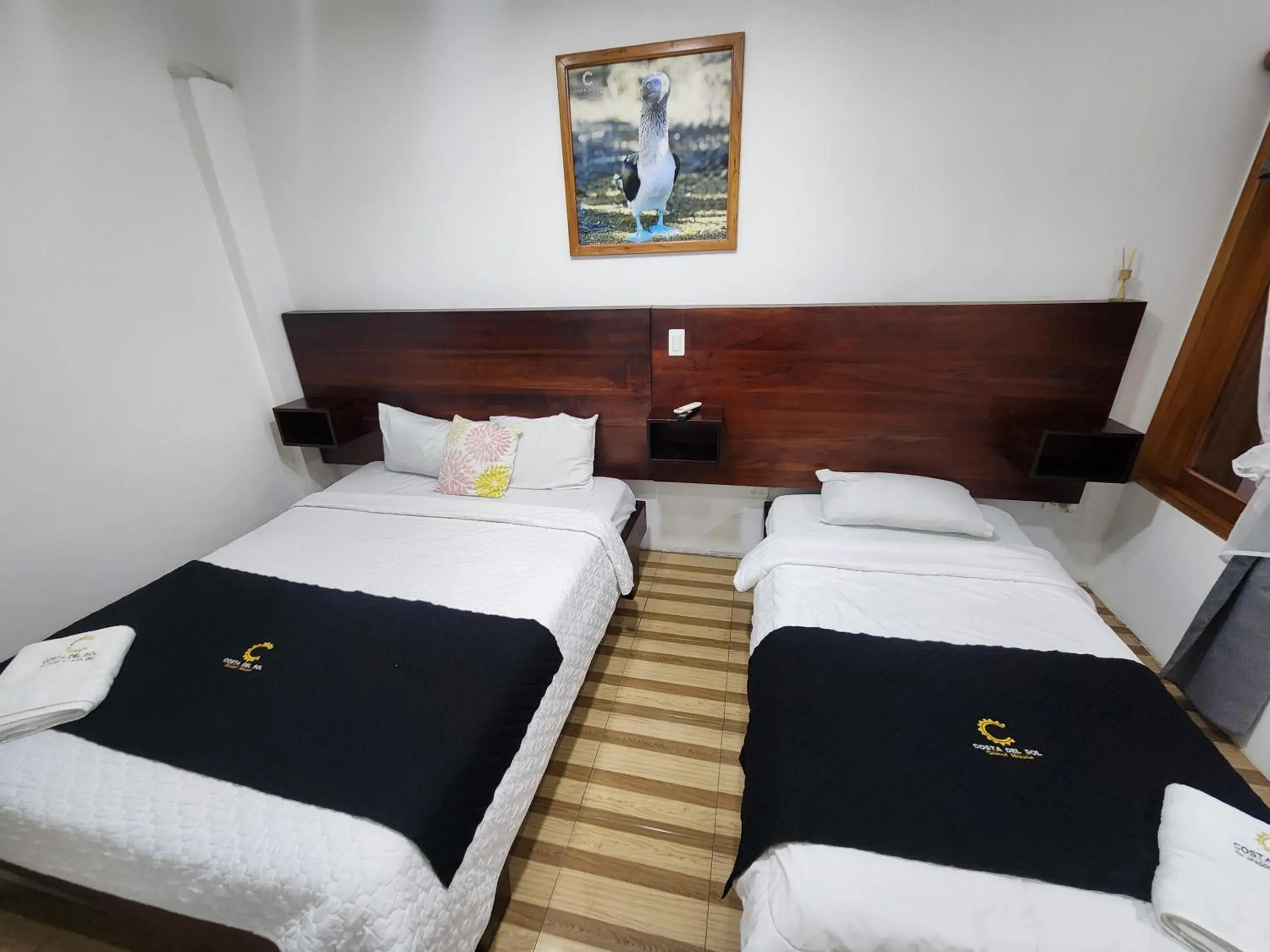 Twin Room in Costa Del Sol Twin Room in Costa Del Sol