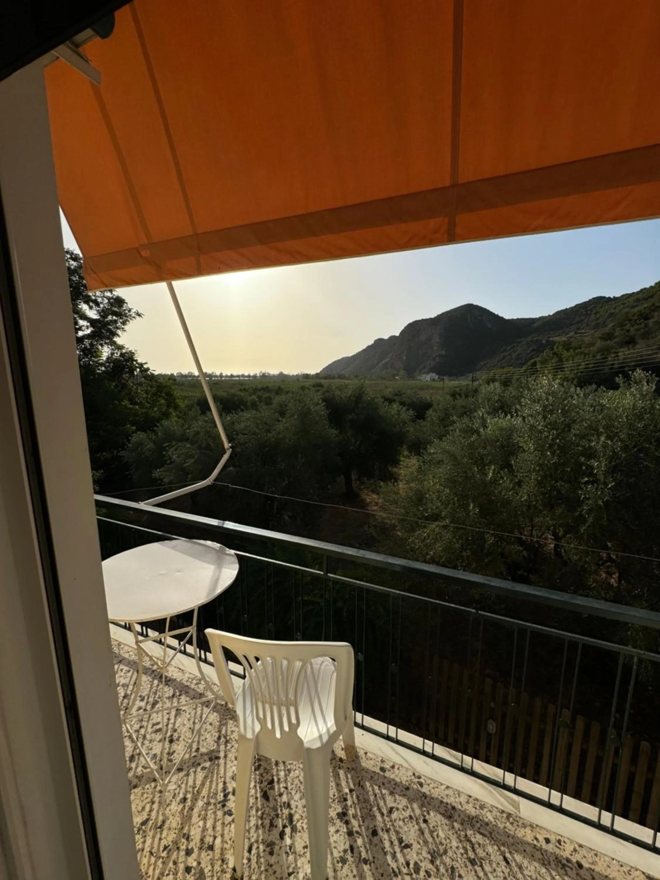 Balcony/Terrace in Hotel Jenny