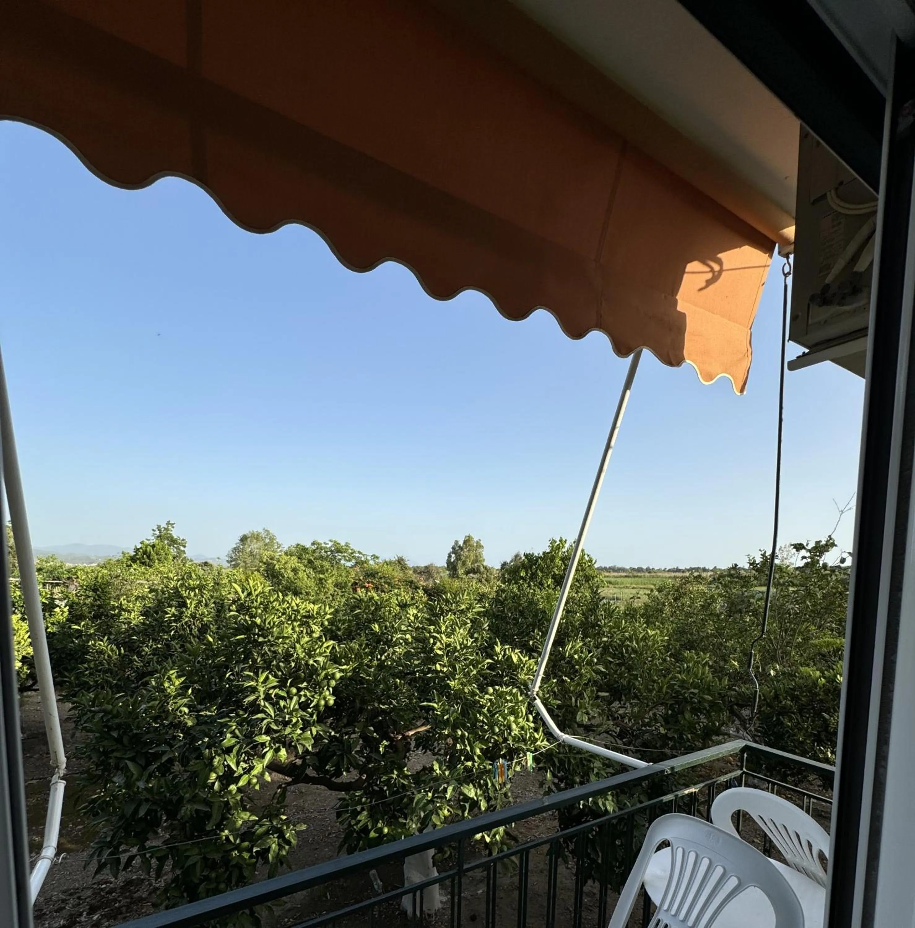 Natural landscape in Hotel Jenny