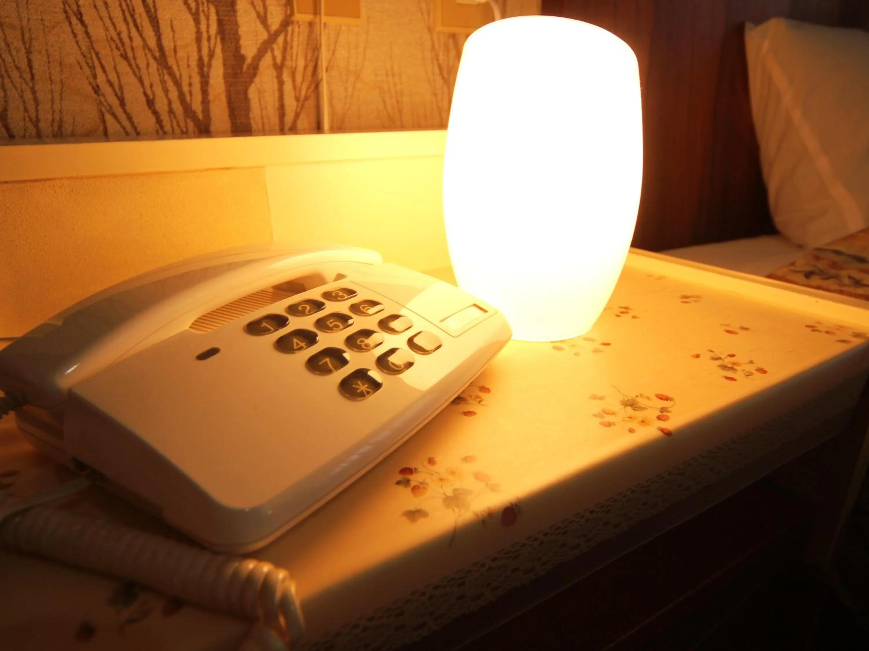 Decorative detail in Hotel Grace Hakuba