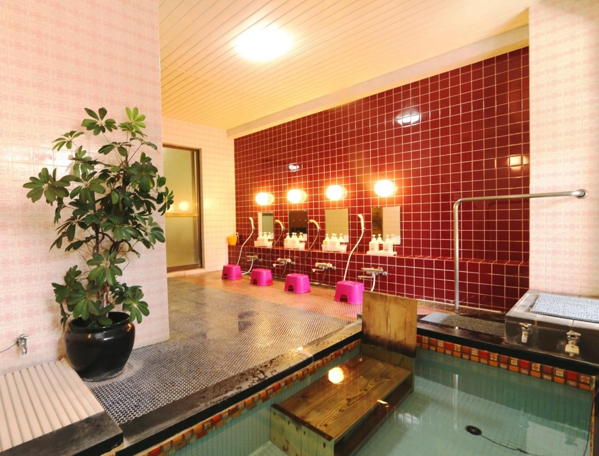 Public Bath in Hotel Grace Hakuba