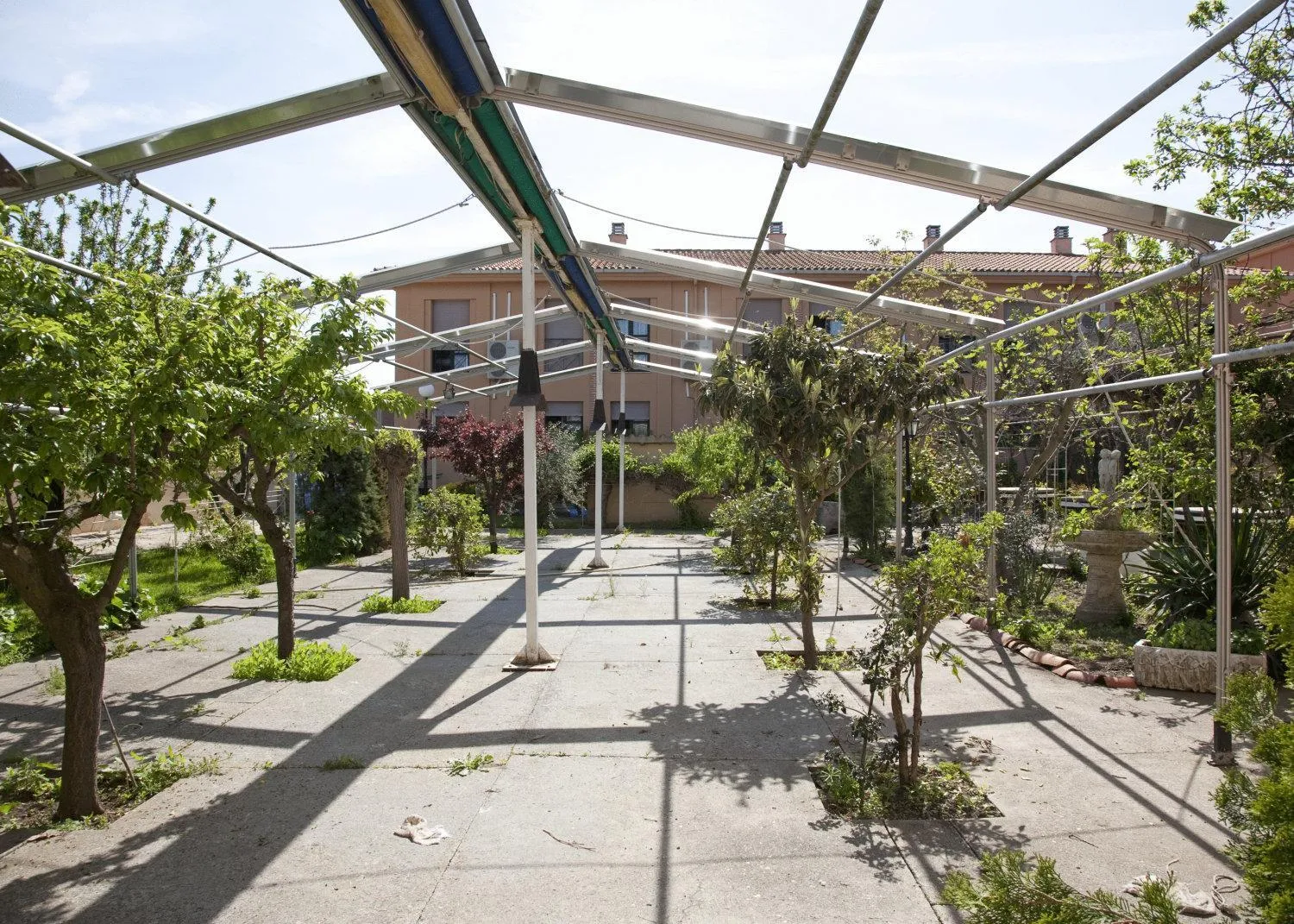 Garden in Hotel Casa Aurelia