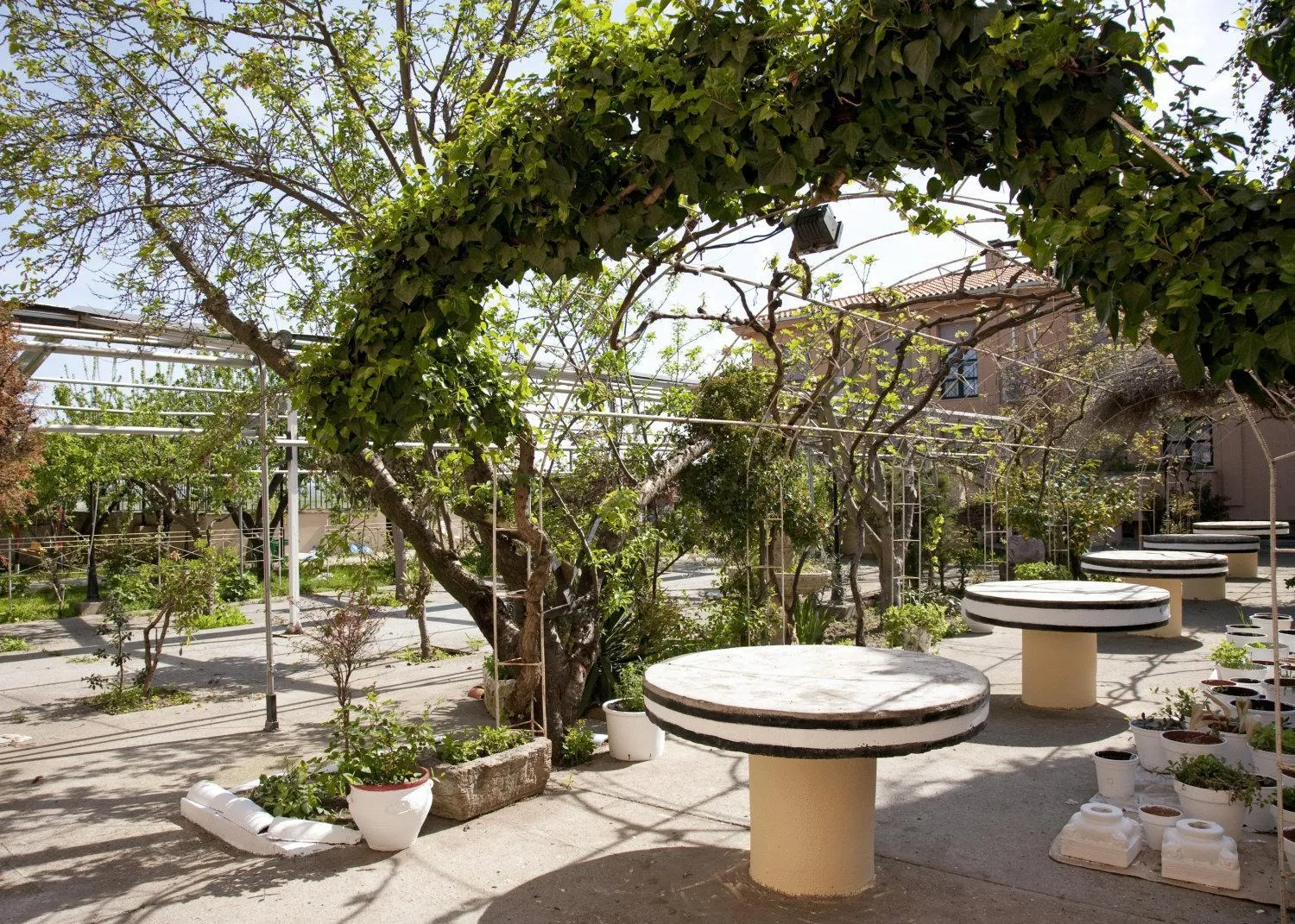 Garden in Hotel Casa Aurelia