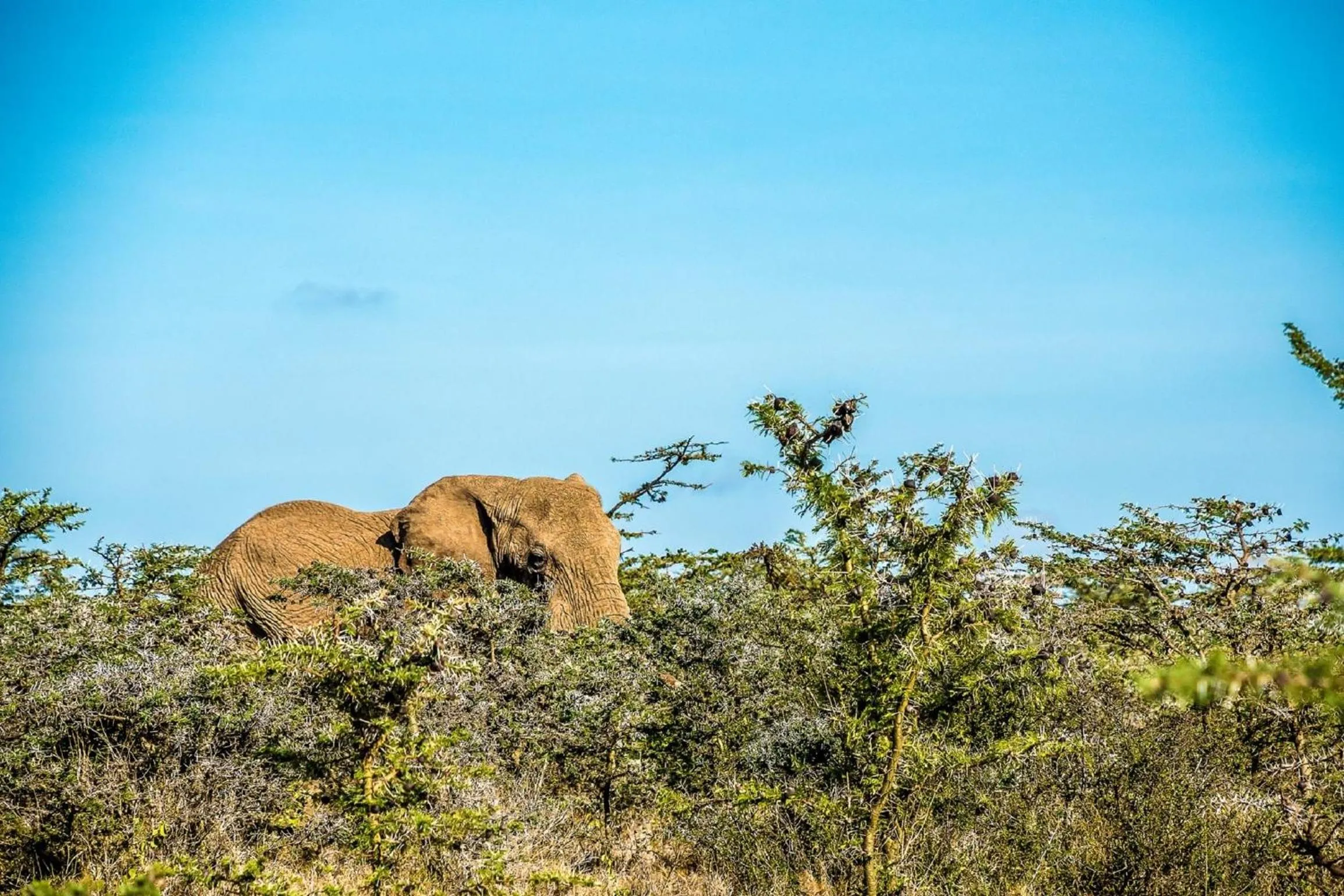 Day in Mutara Camp- Nanyuki