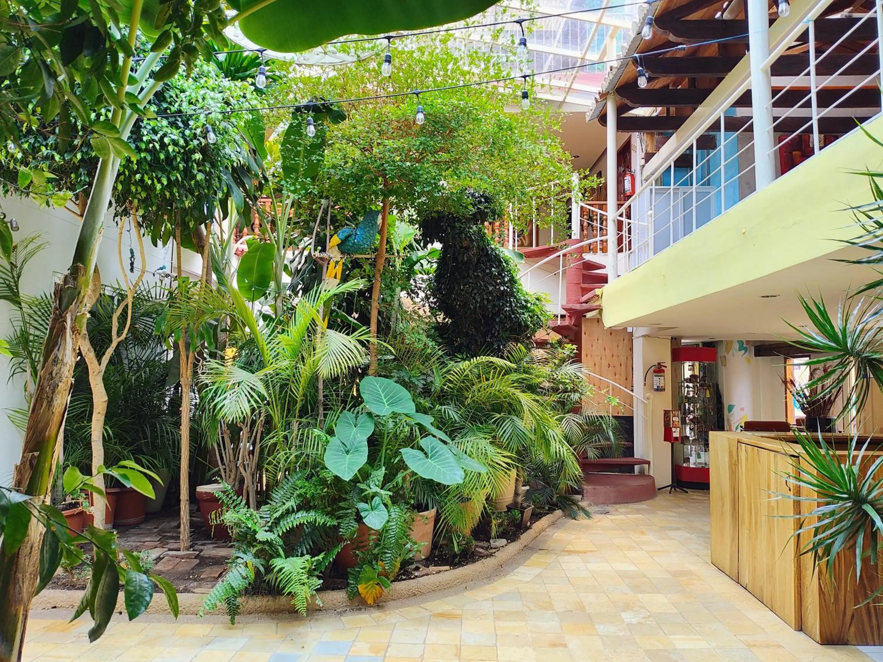 Hotel Barrio Antiguo