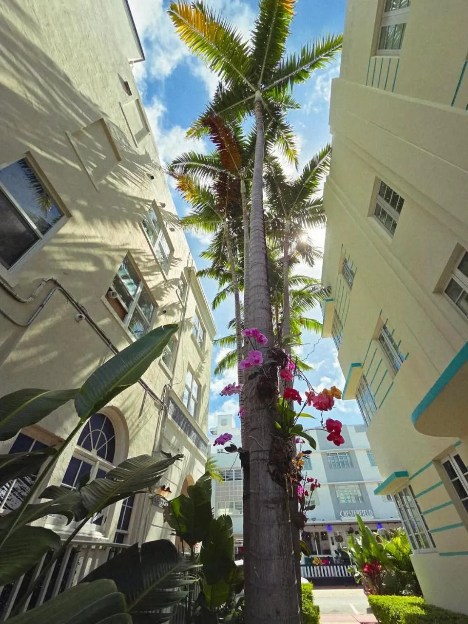 Property building in Luxuri Suites