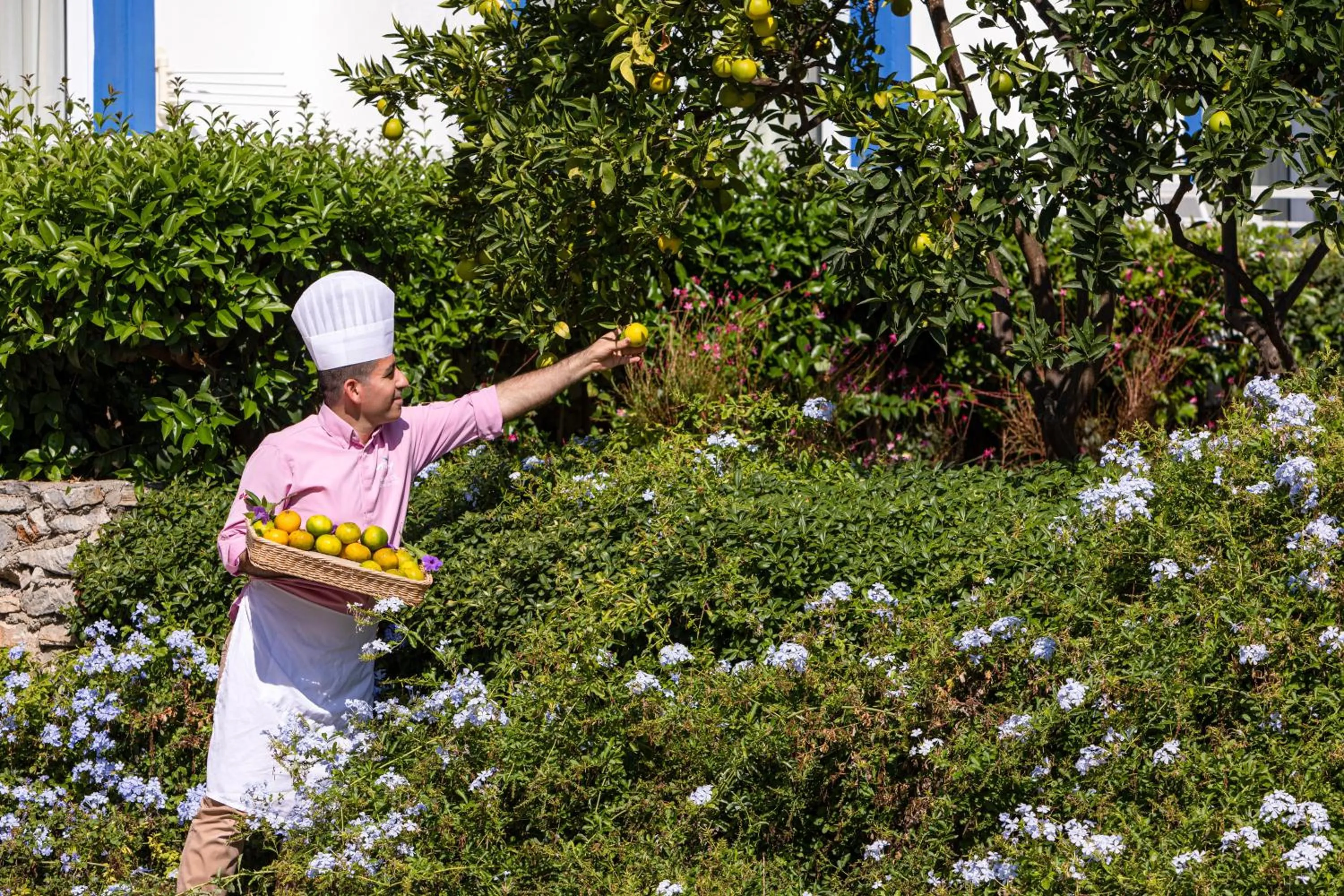 Garden in Labranda TMT Bodrum