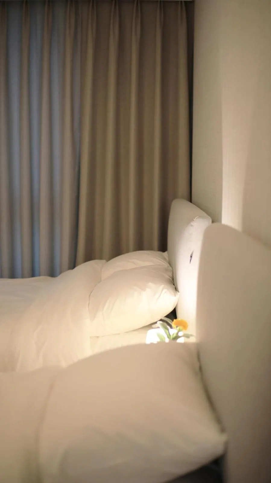 Bed in Wecostay Myeongdong