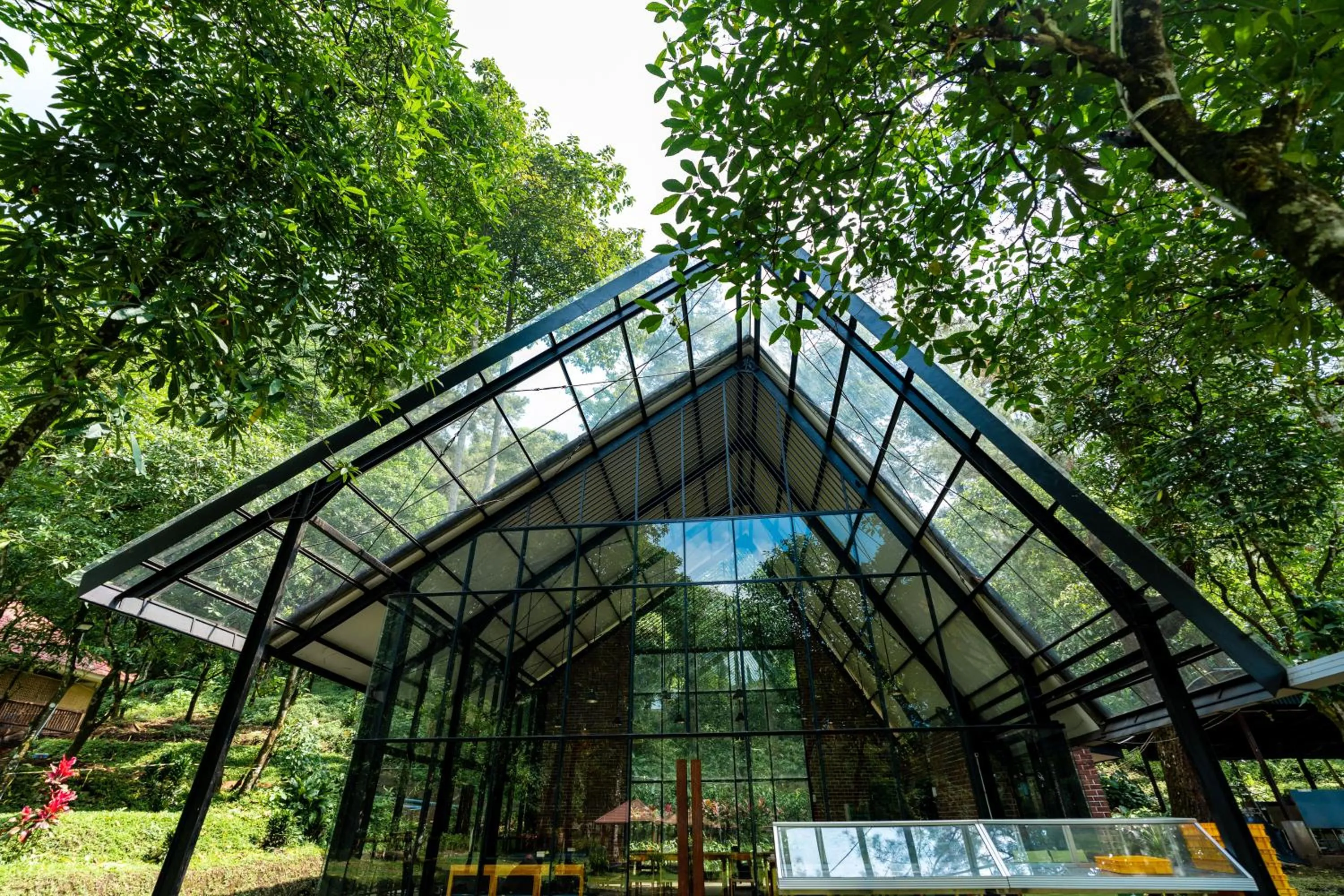 Lounge or bar in The Omala Resort Tretes