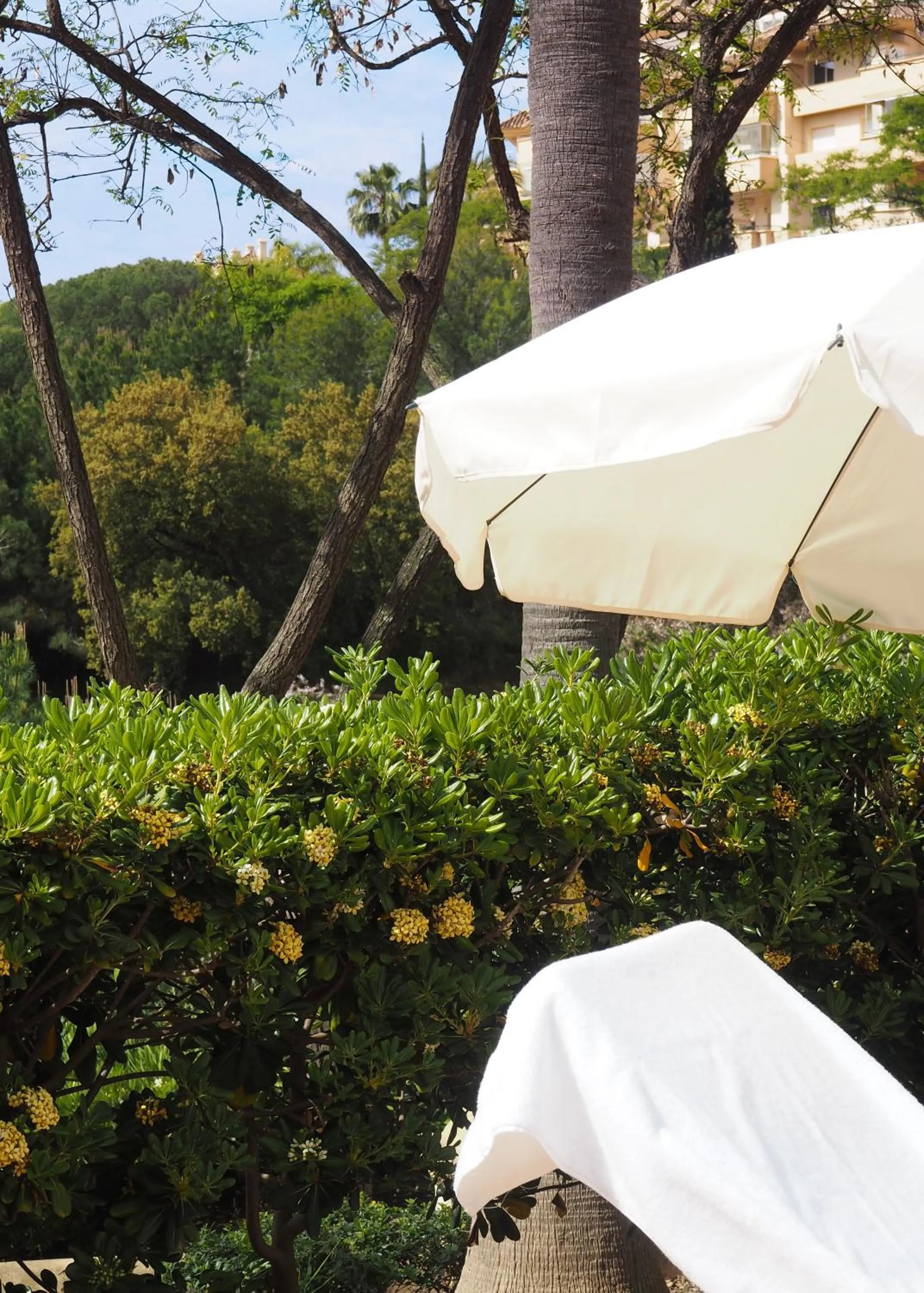 Swimming pool in Elviria Hills Living