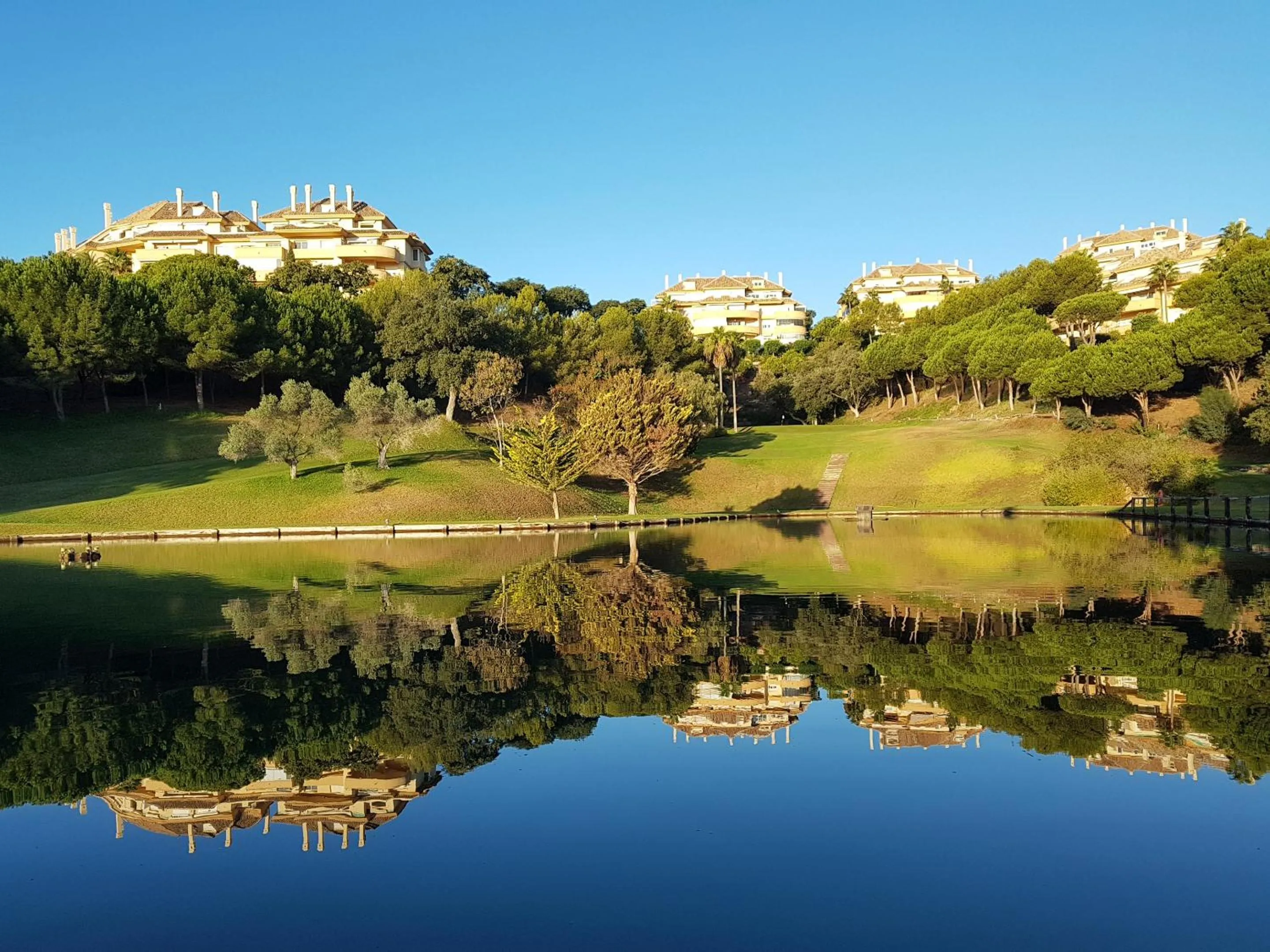 Natural landscape in Elviria Hills Living
