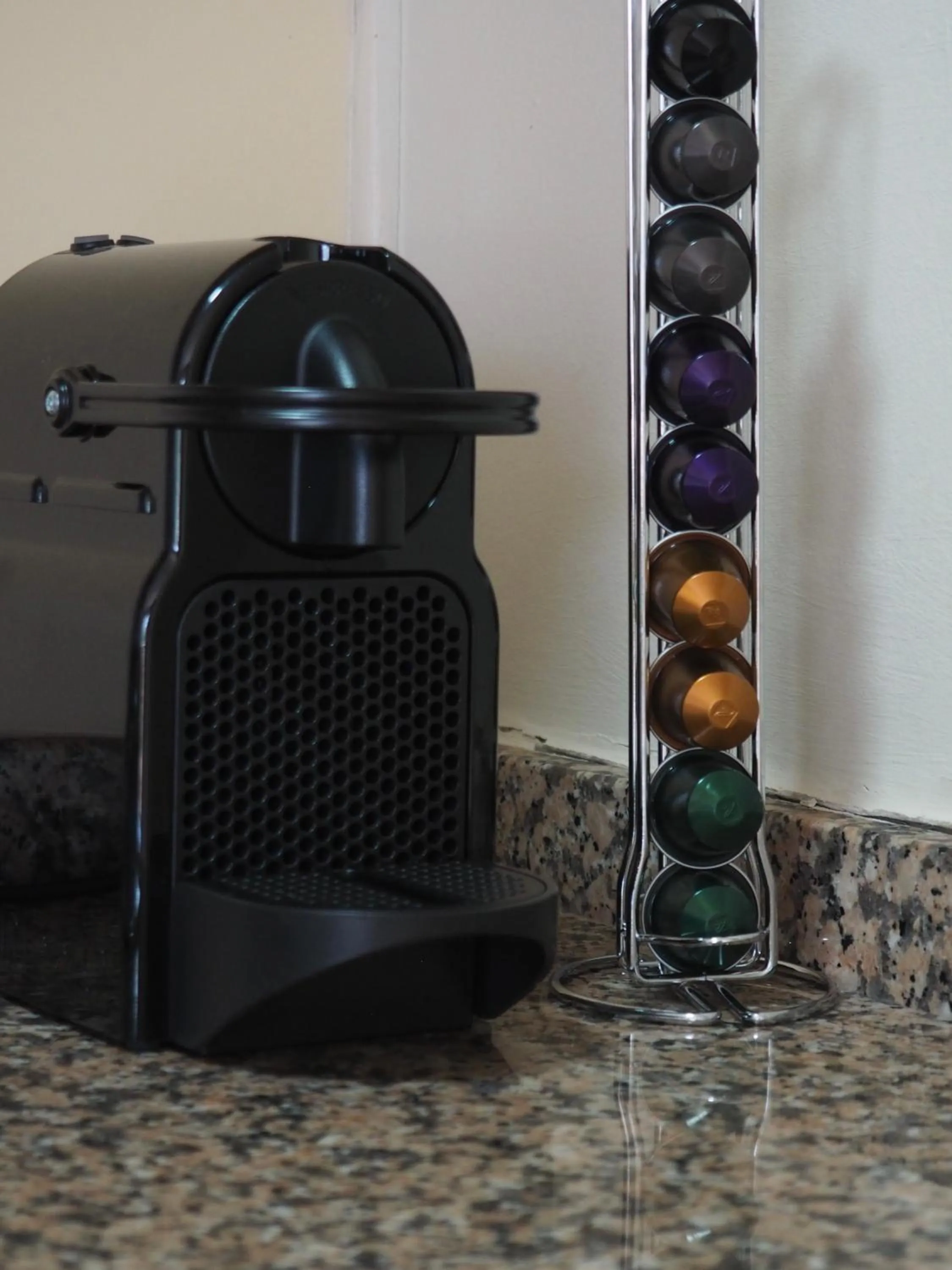 kitchen in Elviria Hills Living