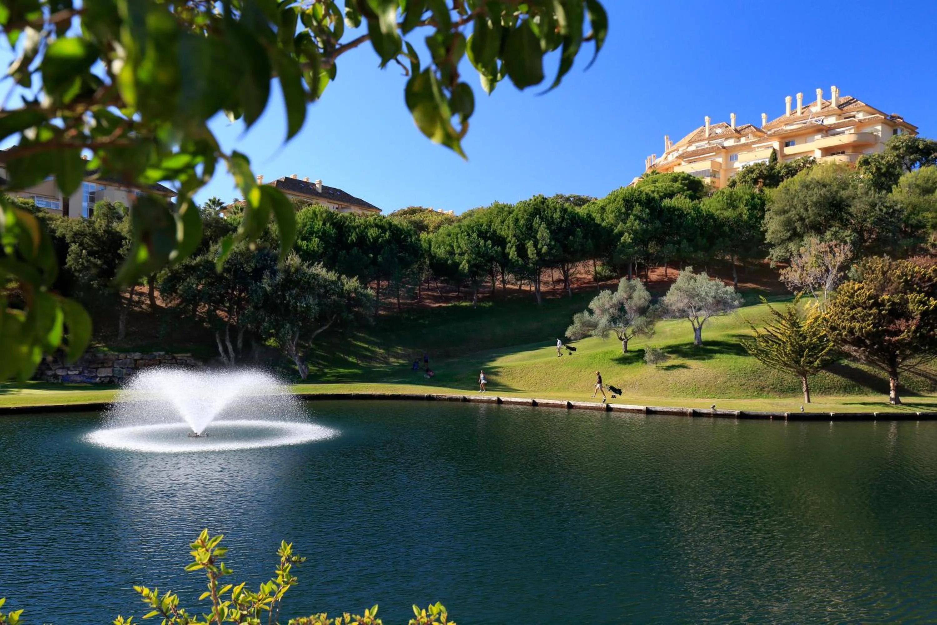 Natural landscape in Elviria Hills Living