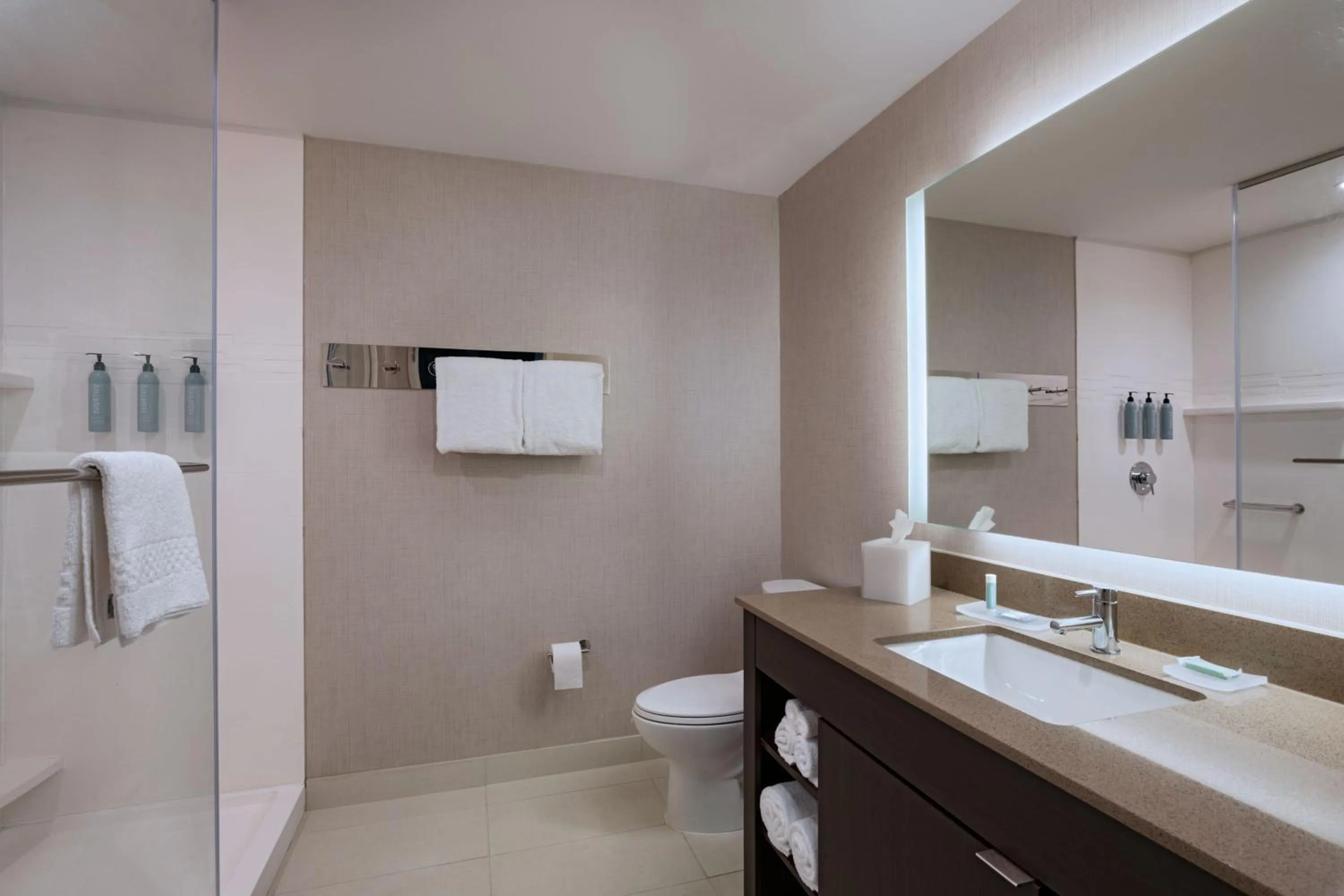 Bathroom in Residence Inn by Marriott Corpus Christi South