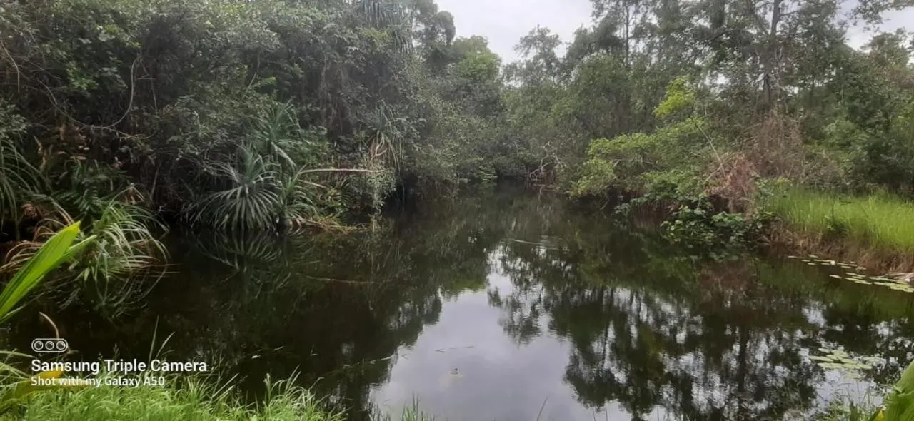 Natural landscape in Lagoonvilla hotel
