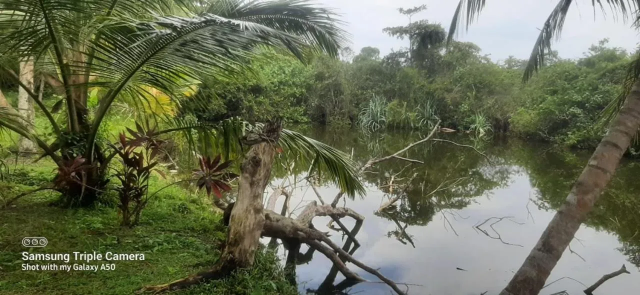 Natural landscape in Lagoonvilla hotel