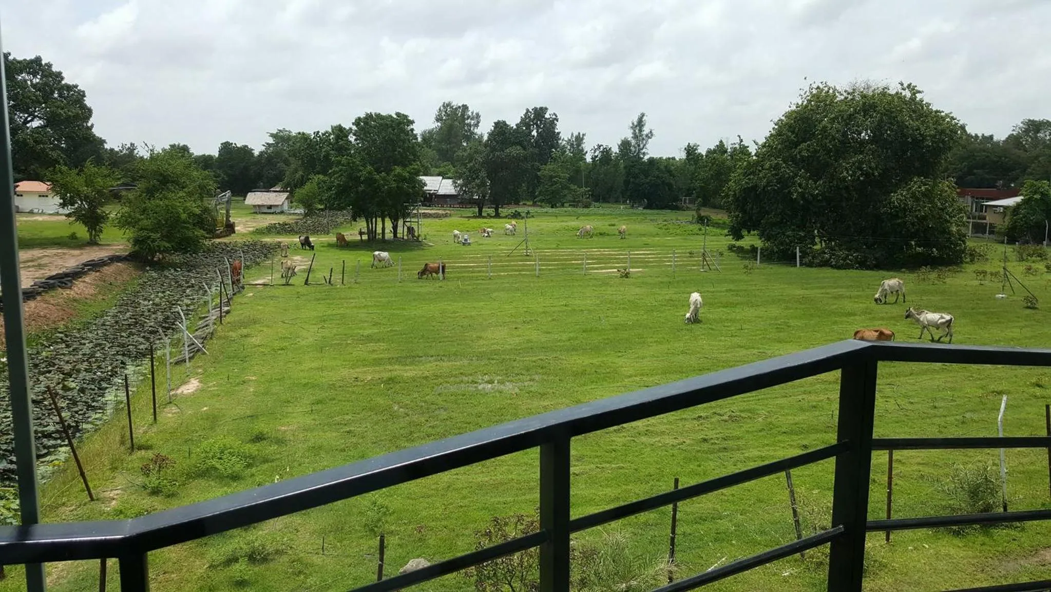 Natural landscape in Ray Hotel Buriram