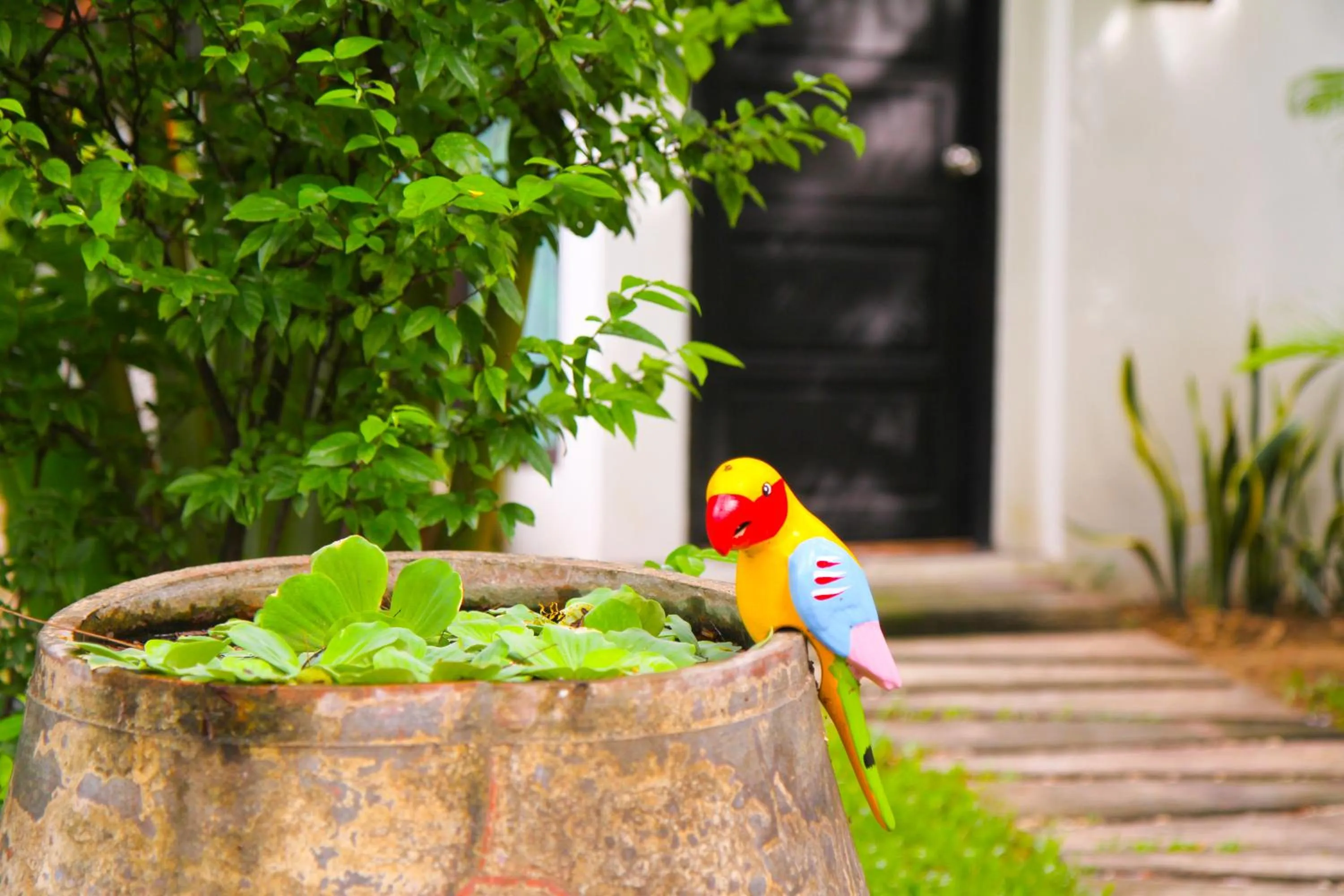 Property building in E-outfitting Boutique Chiang Mai