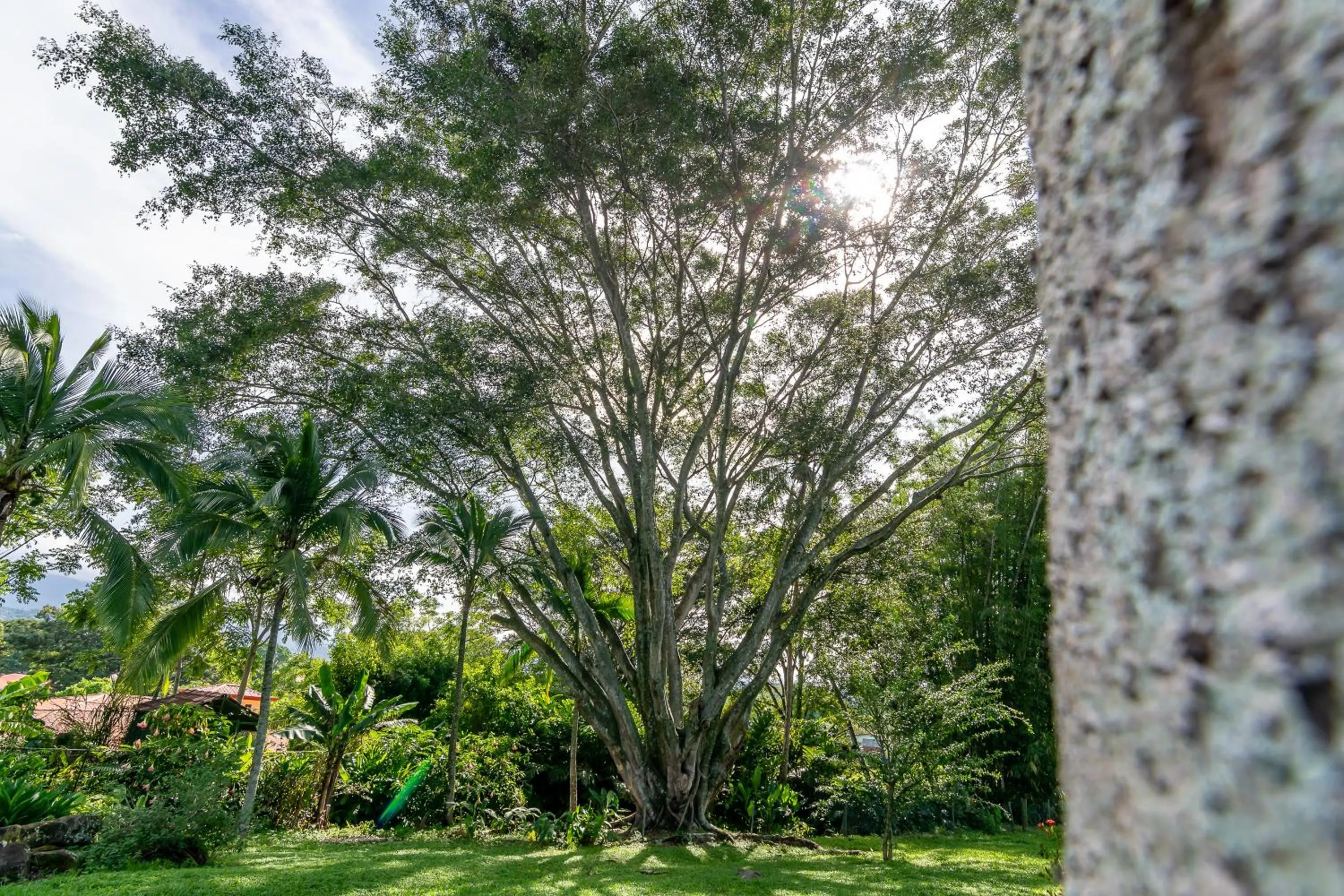 Garden in Villa Margarita