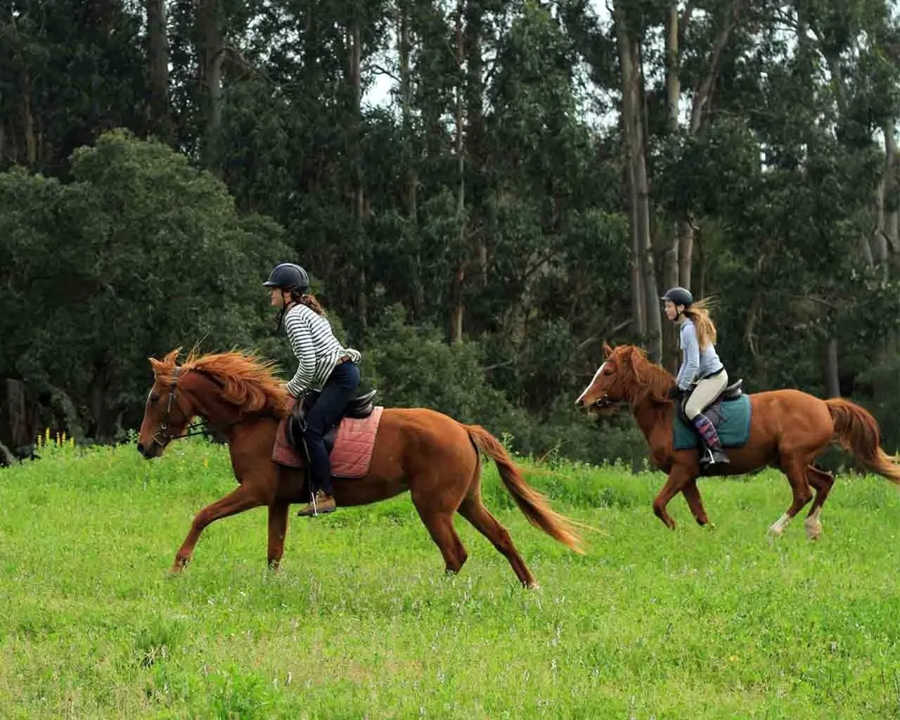 Activities in Quinta Pedagógica da Samoqueirinha - Duna Parque Resorts & Hotels
