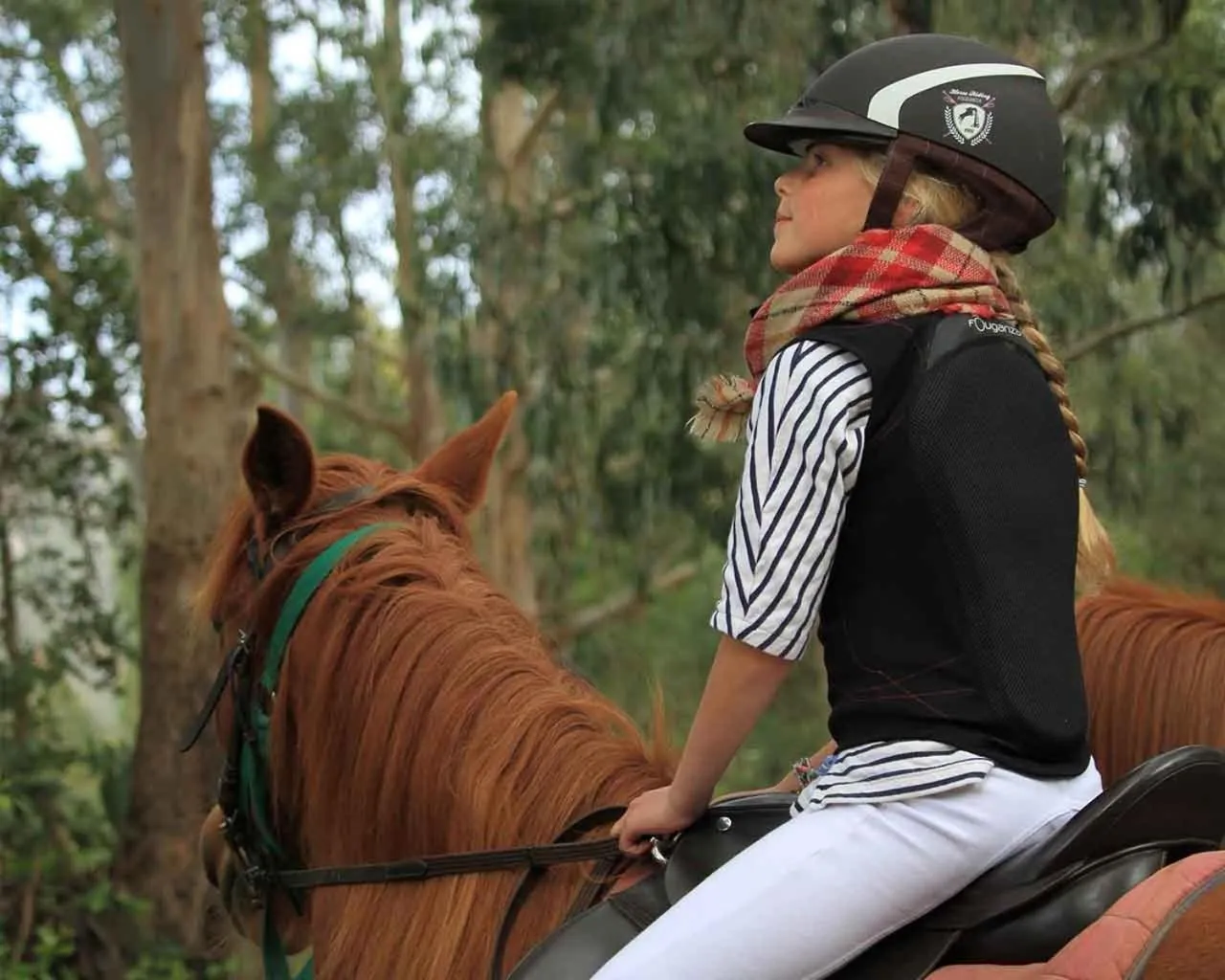 Activities in Quinta Pedagógica da Samoqueirinha - Duna Parque Resorts & Hotels