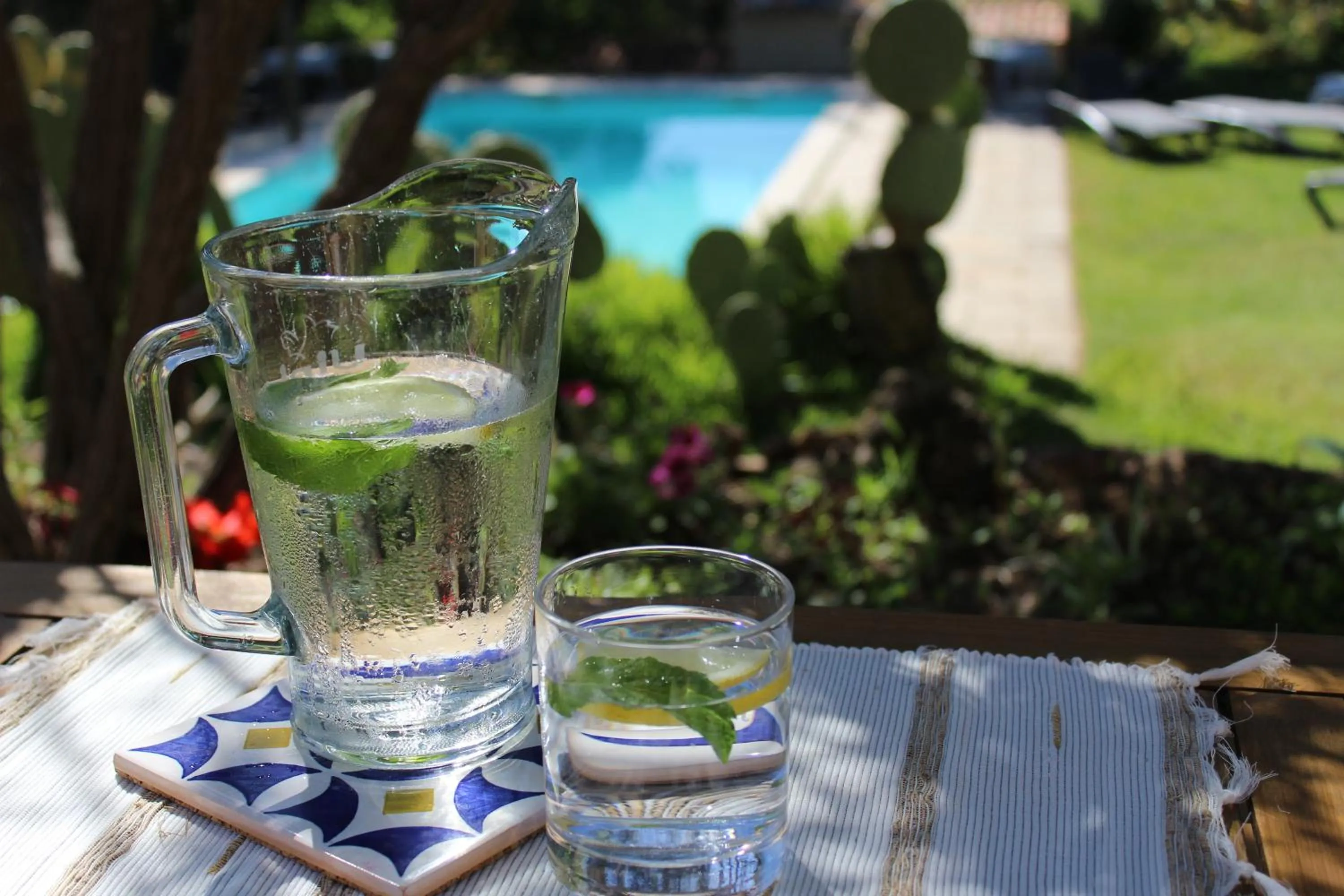 Drinks in Quinta Pedagógica da Samoqueirinha - Duna Parque Resorts & Hotels