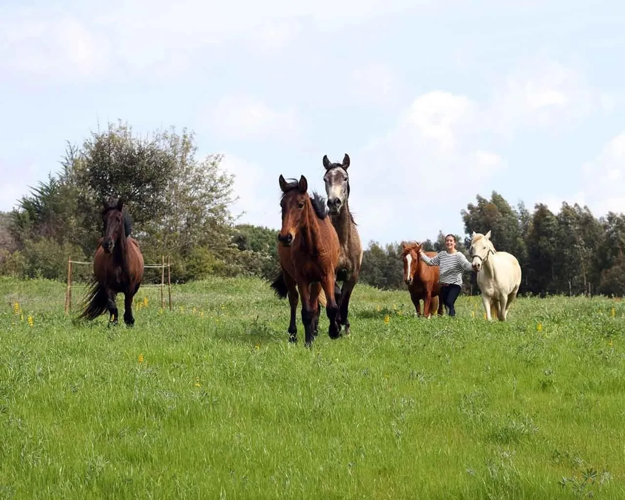 Activities in Quinta Pedagógica da Samoqueirinha - Duna Parque Resorts & Hotels