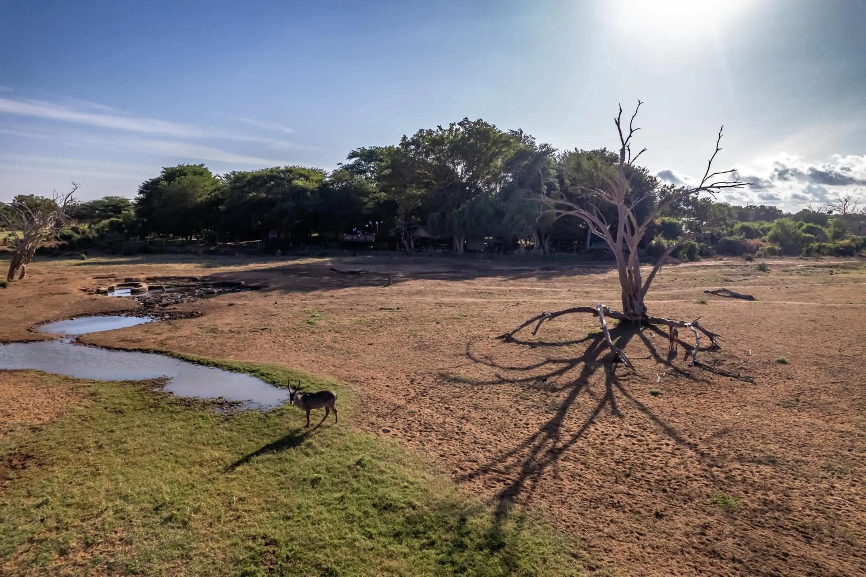View (from property/room) in Sentrim Tsavo Lodge