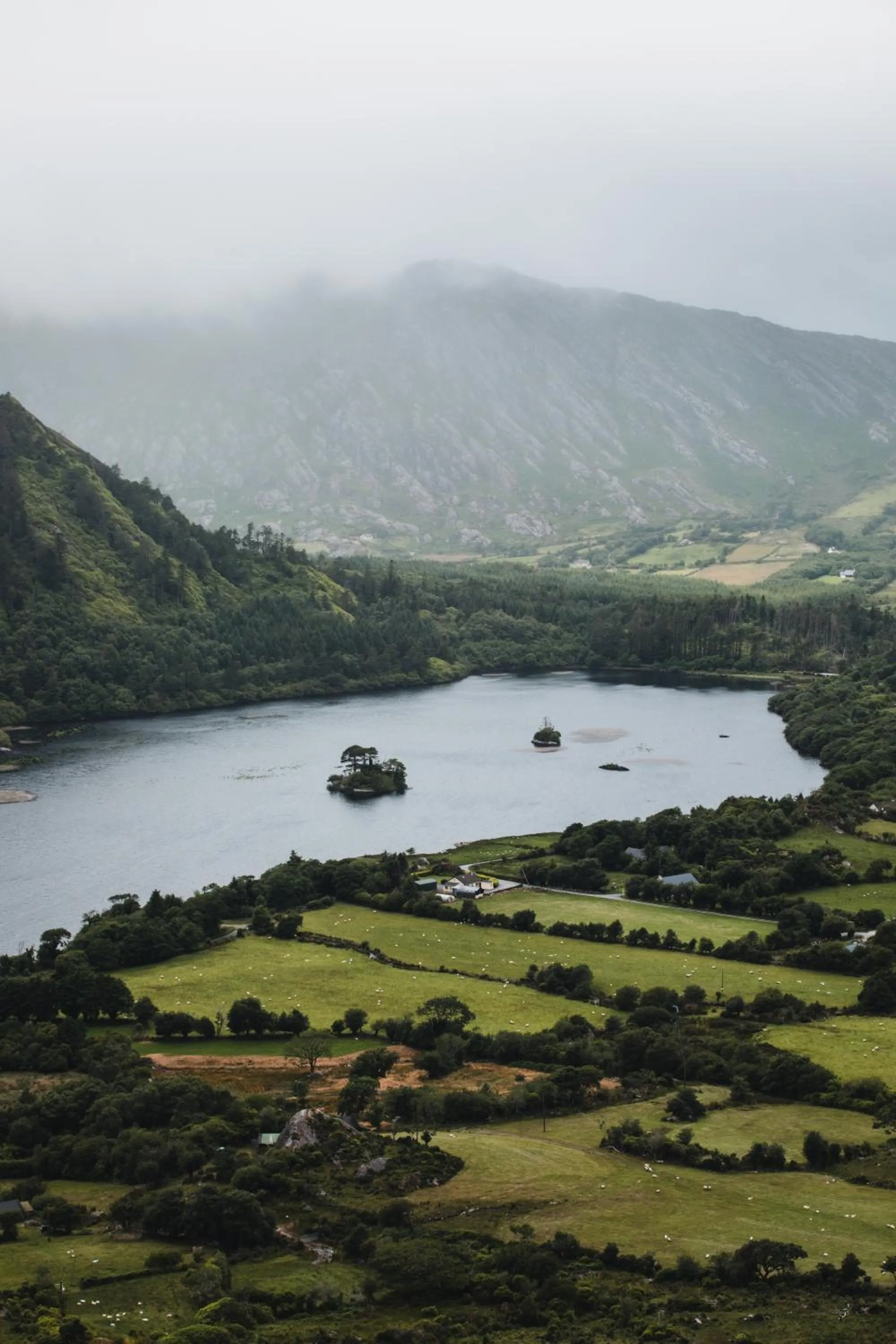 Natural landscape in Mossie's