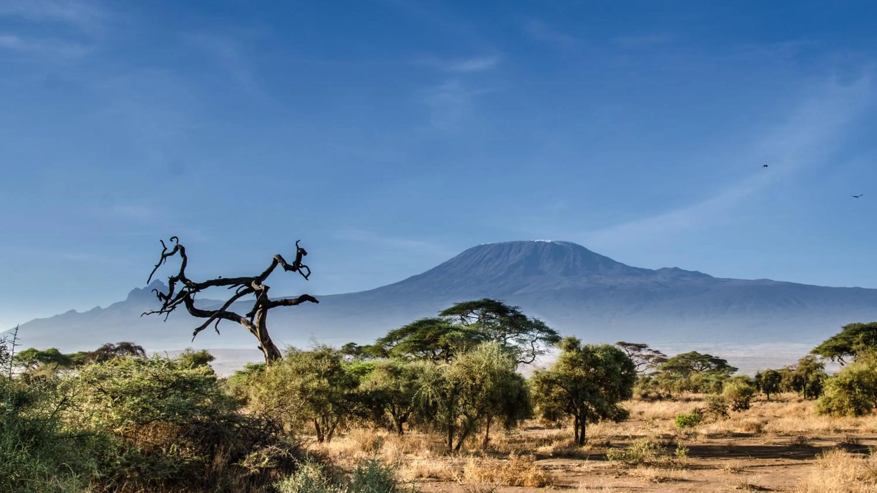 Mountain view in Sentrim Amboseli Lodge