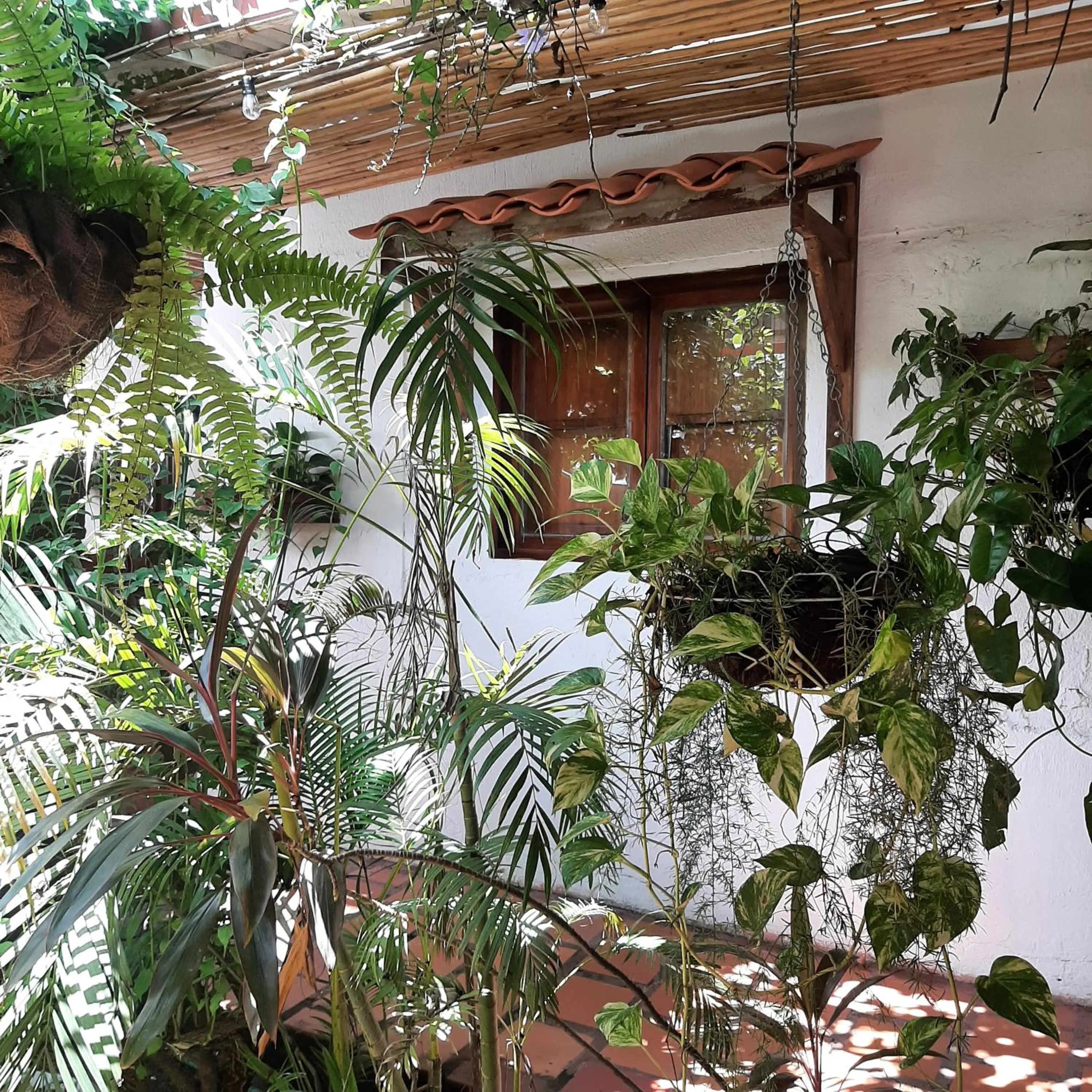 Garden in Hotel Boutique Casa de Los Santos Reyes Valledupar