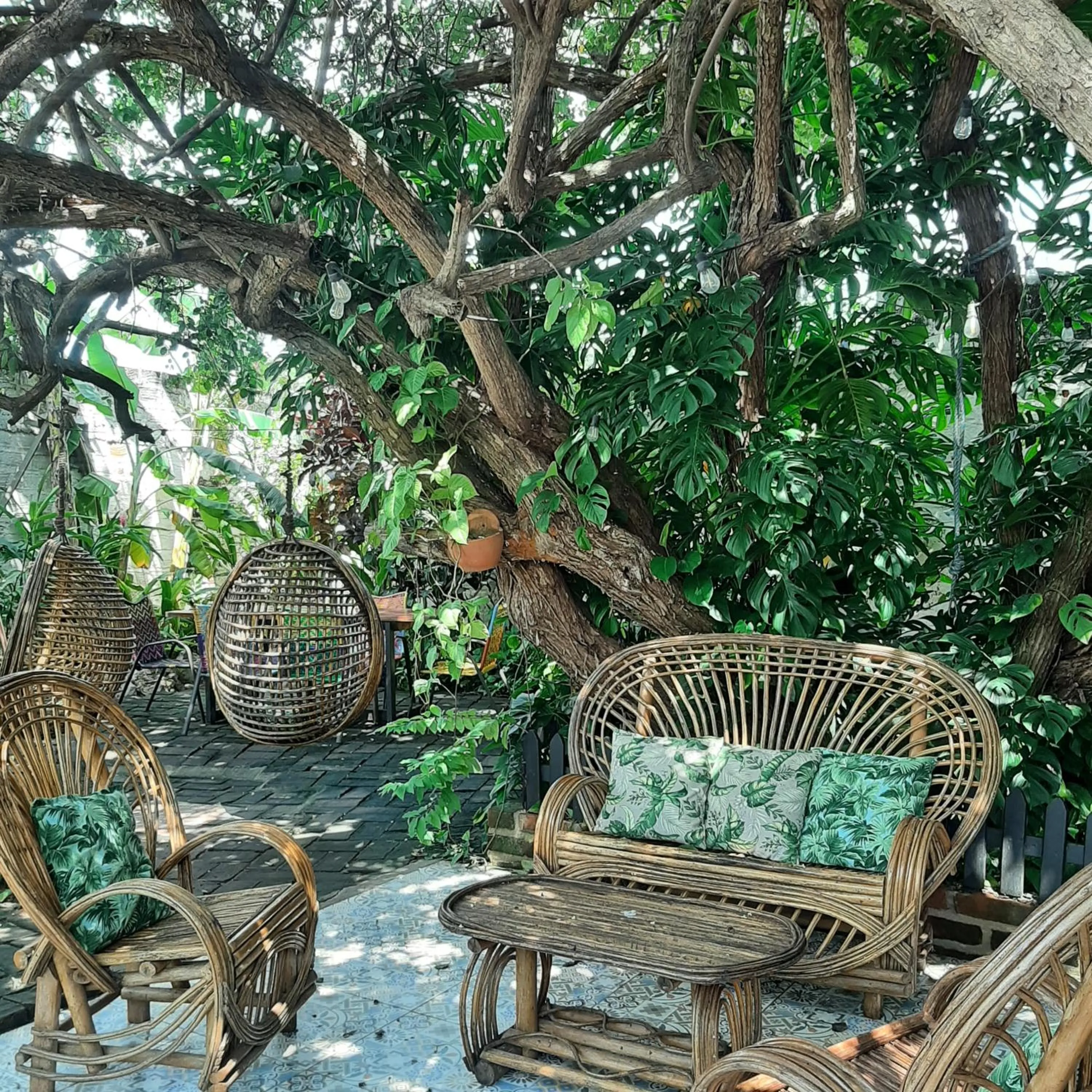 Garden in Hotel Boutique Casa de Los Santos Reyes Valledupar