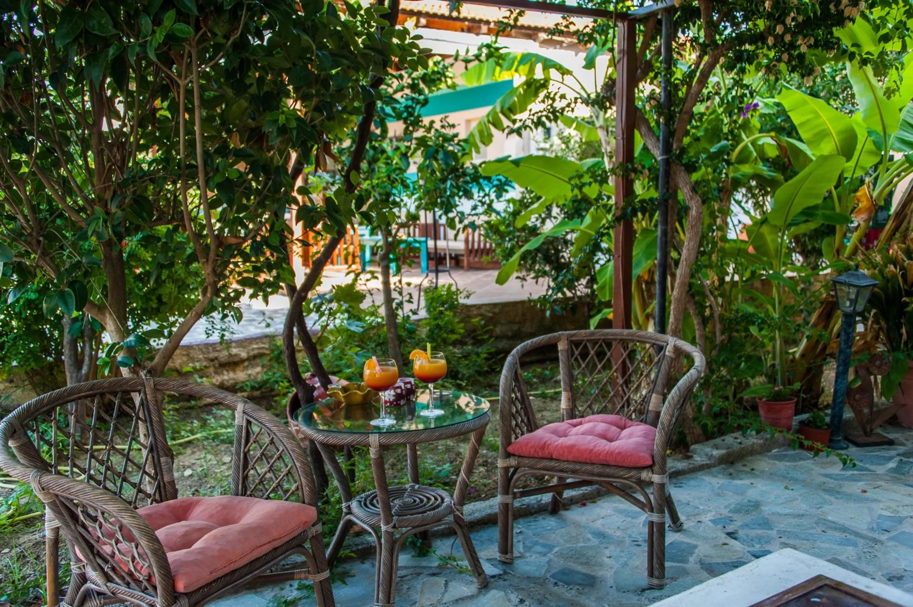 Garden in Zante Nest Studios & Apartments