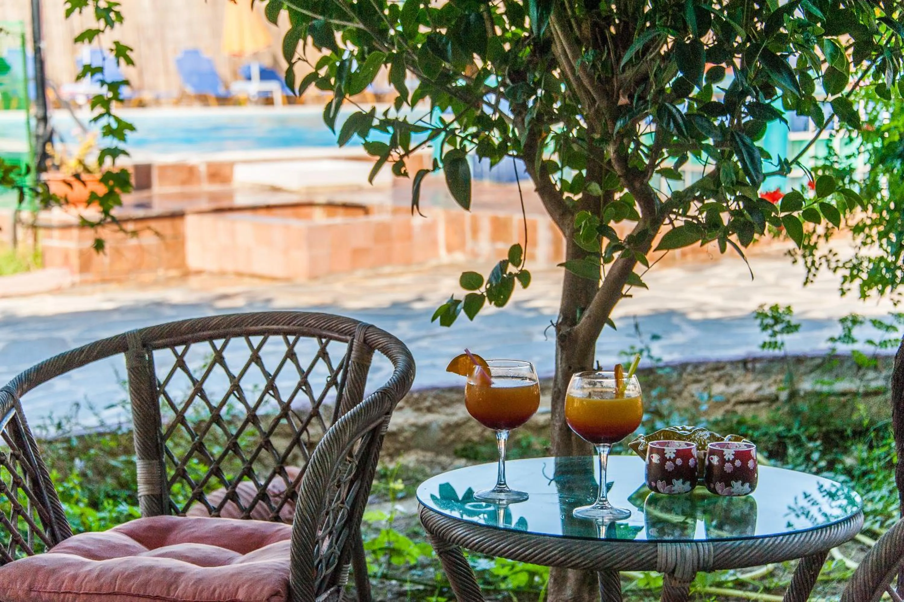 Garden in Zante Nest Studios & Apartments