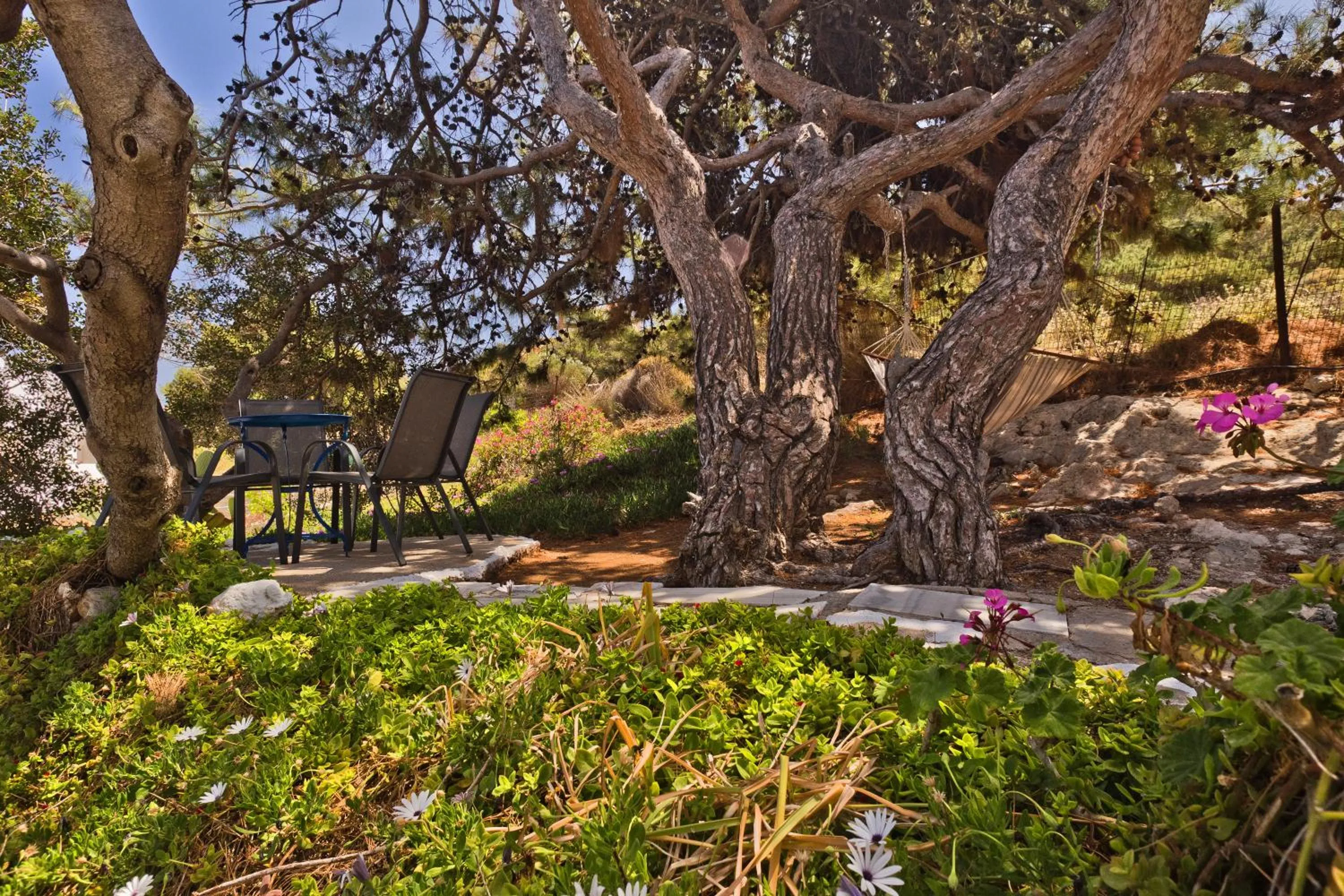 Garden view in CHC Sound of the Sea