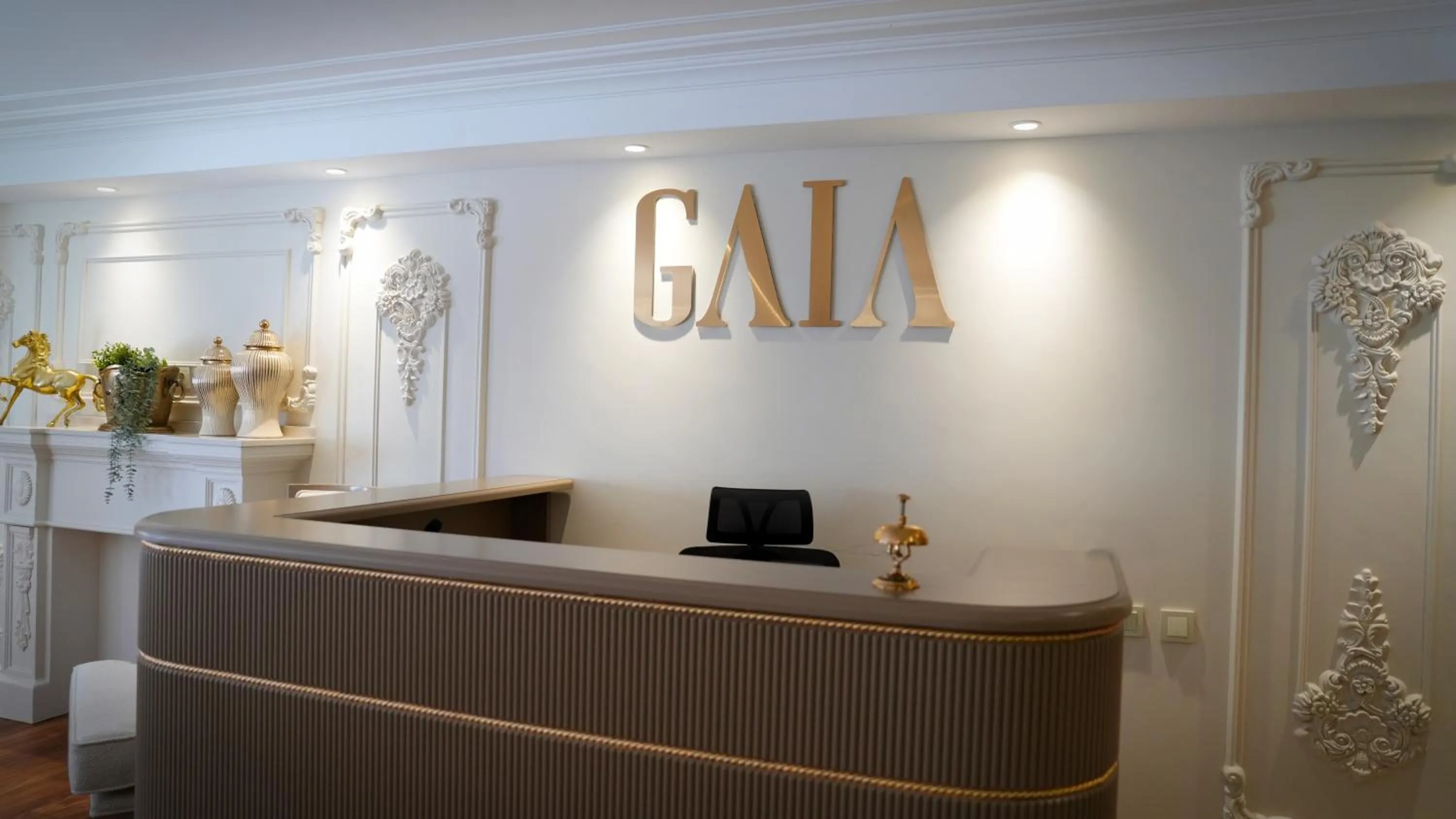 Lobby or reception in Gaia Suites Istanbul