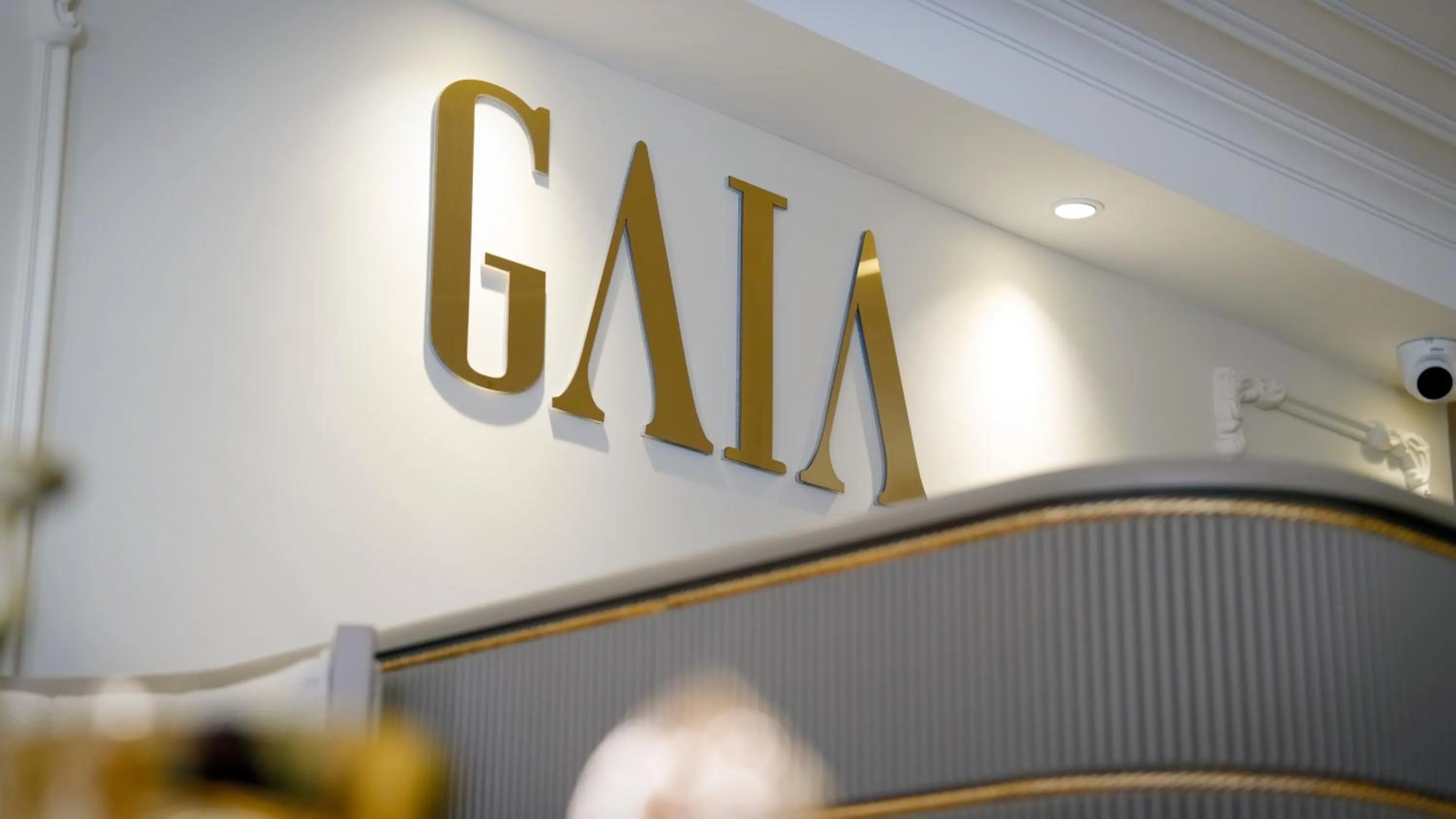 Property logo or sign in Gaia Suites Istanbul