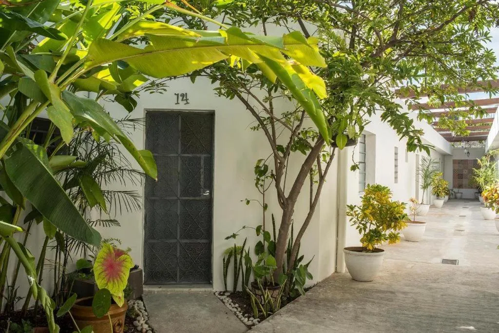 El Tigre de Santiago