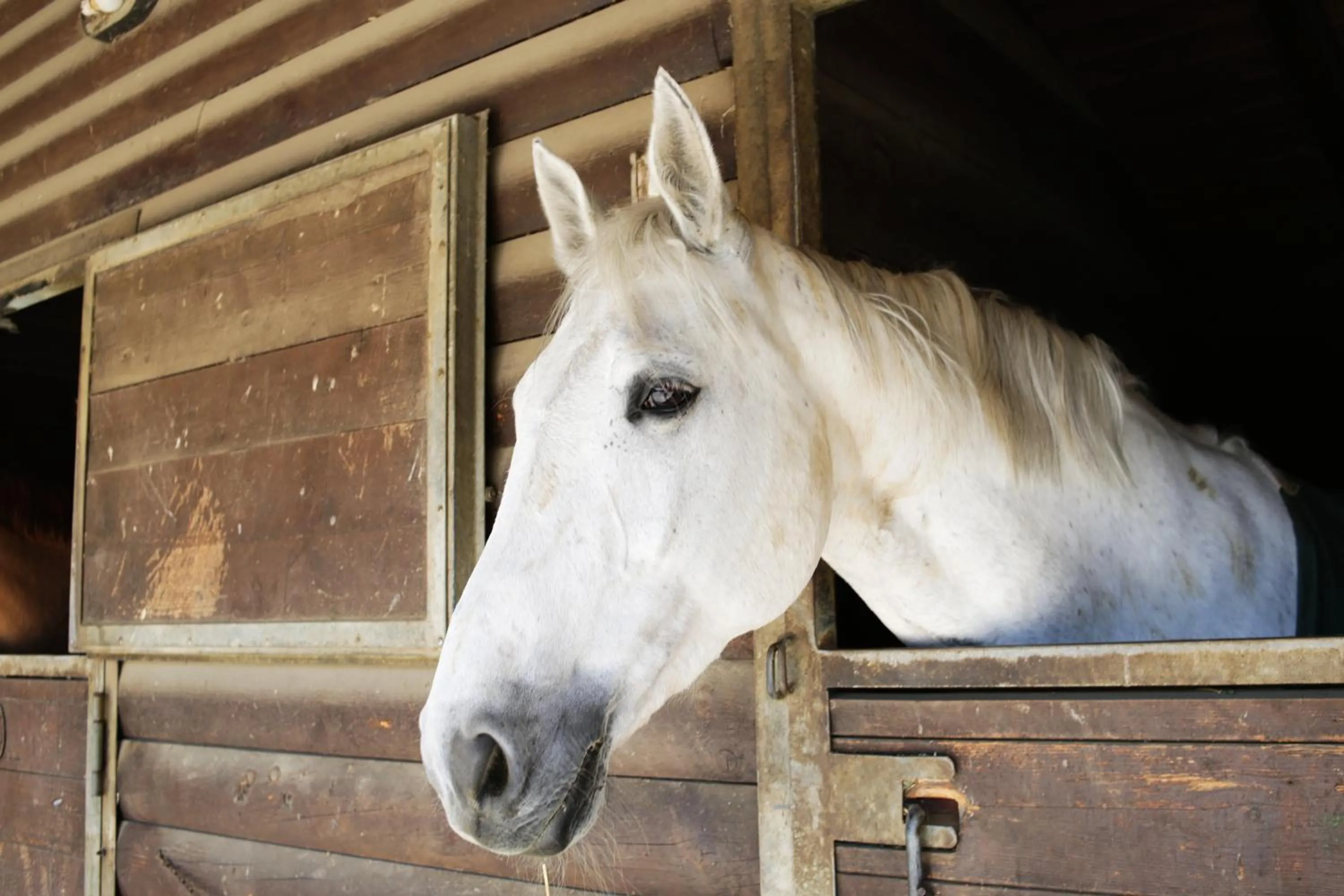 Activities in Due Ponti Village