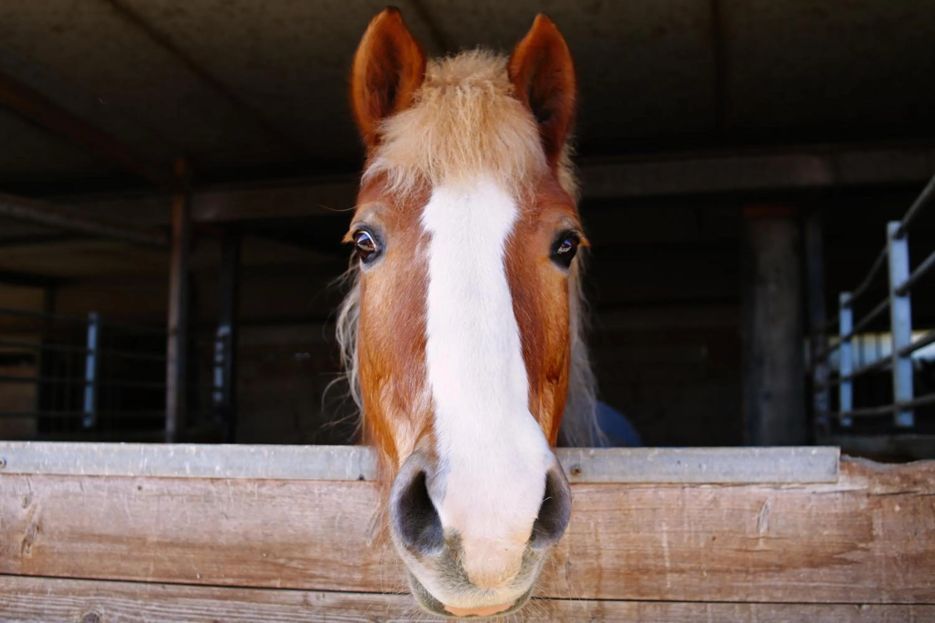 Activities in Due Ponti Village