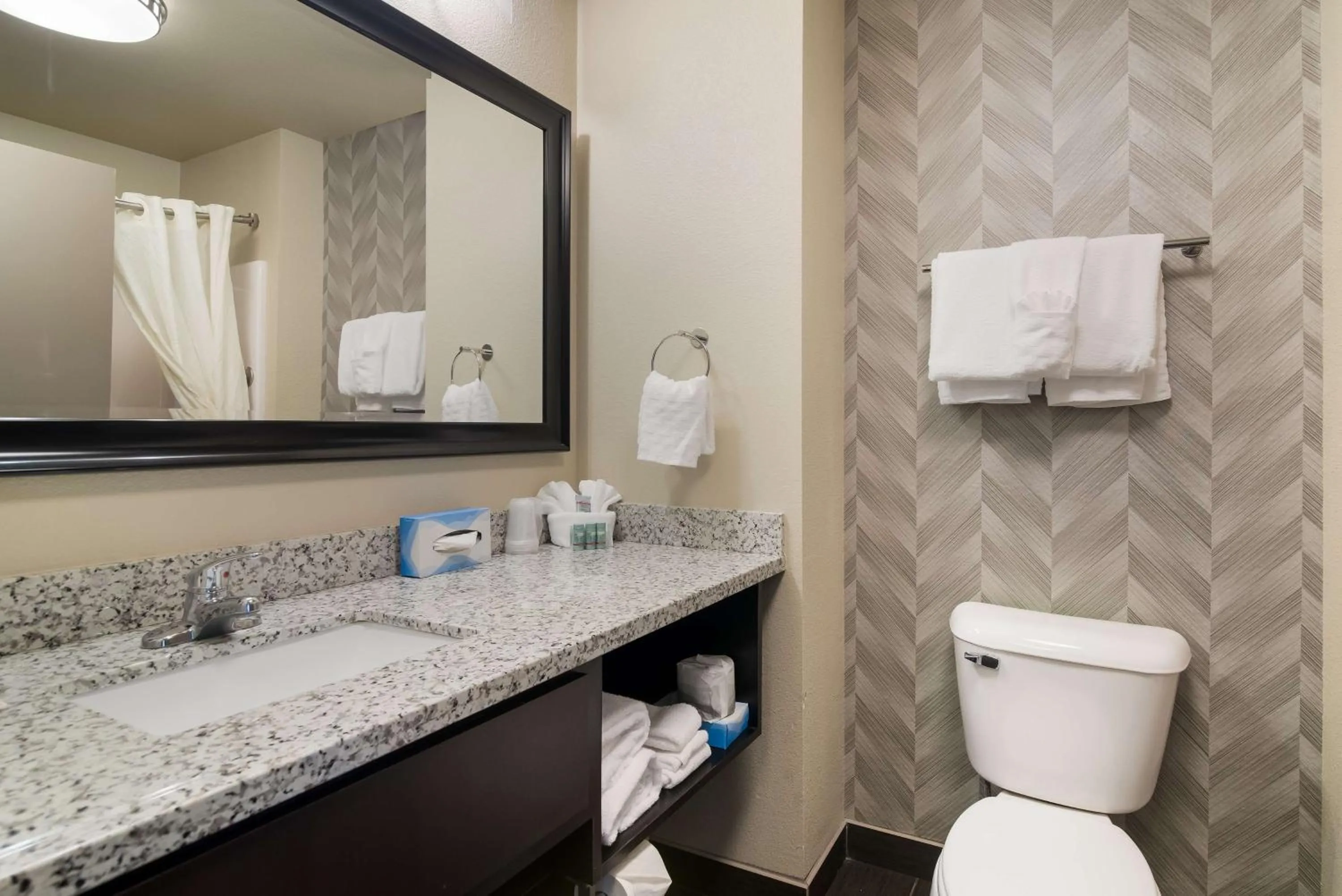 Bathroom in Best Western Roosevelt Place