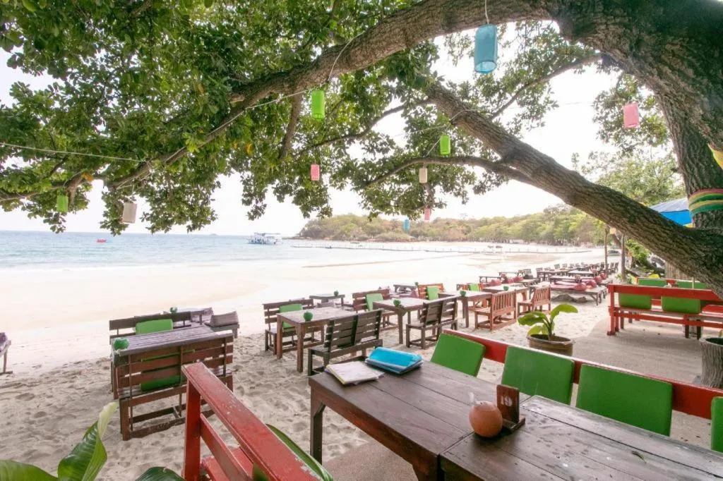 Greenplace-Samed Seahorse