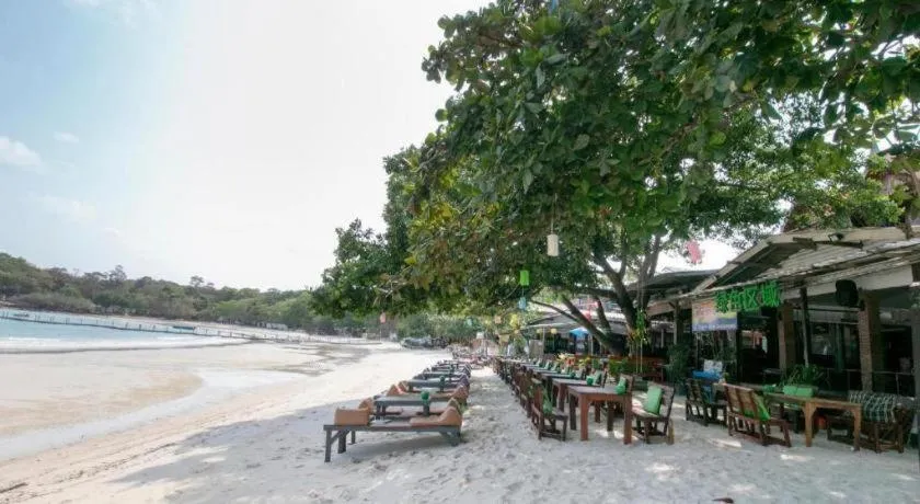 Greenplace-Samed Seahorse