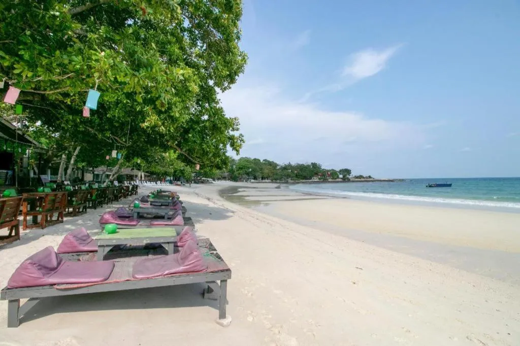 Greenplace-Samed Seahorse